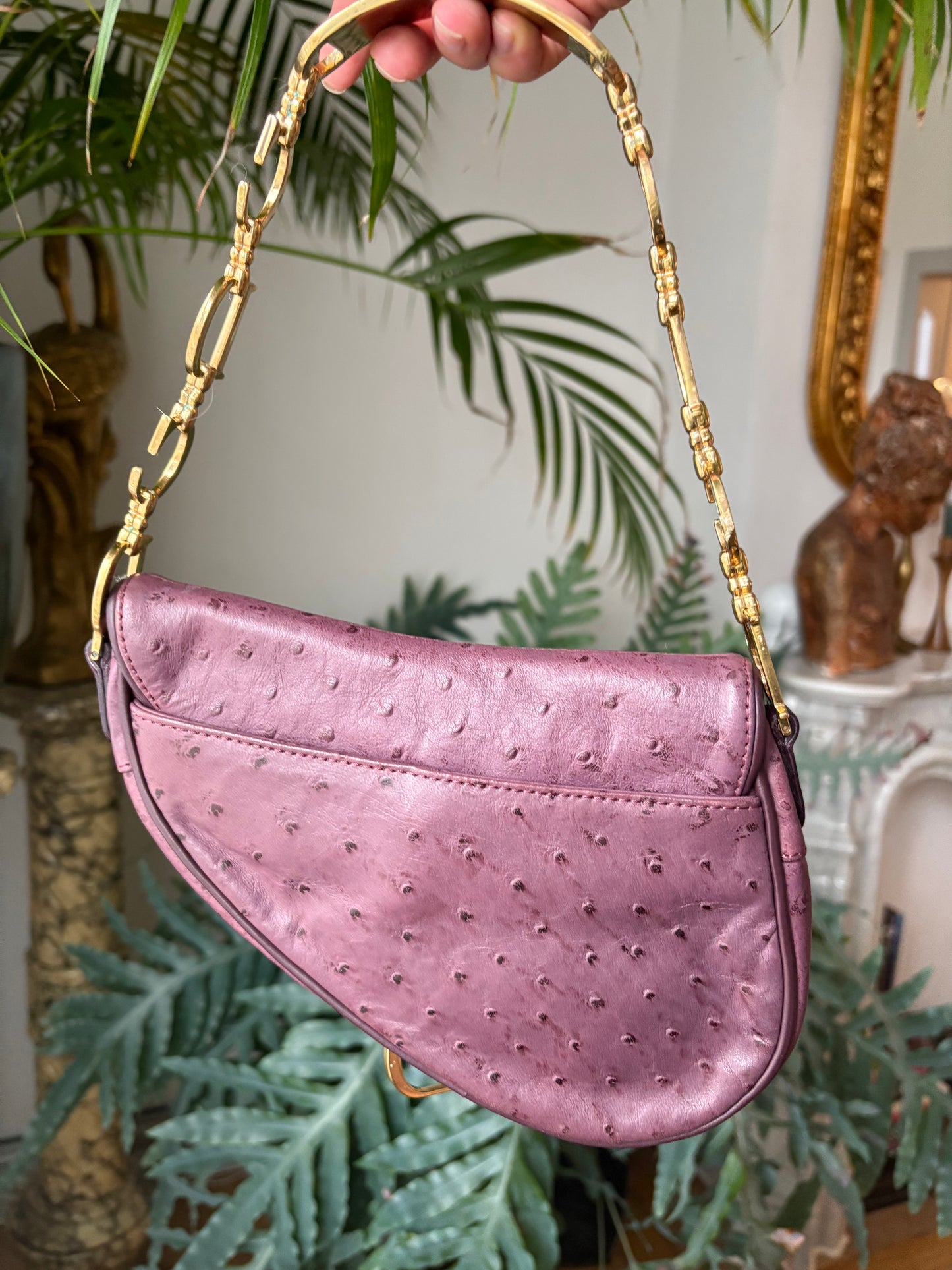 Dior Mini Saddle