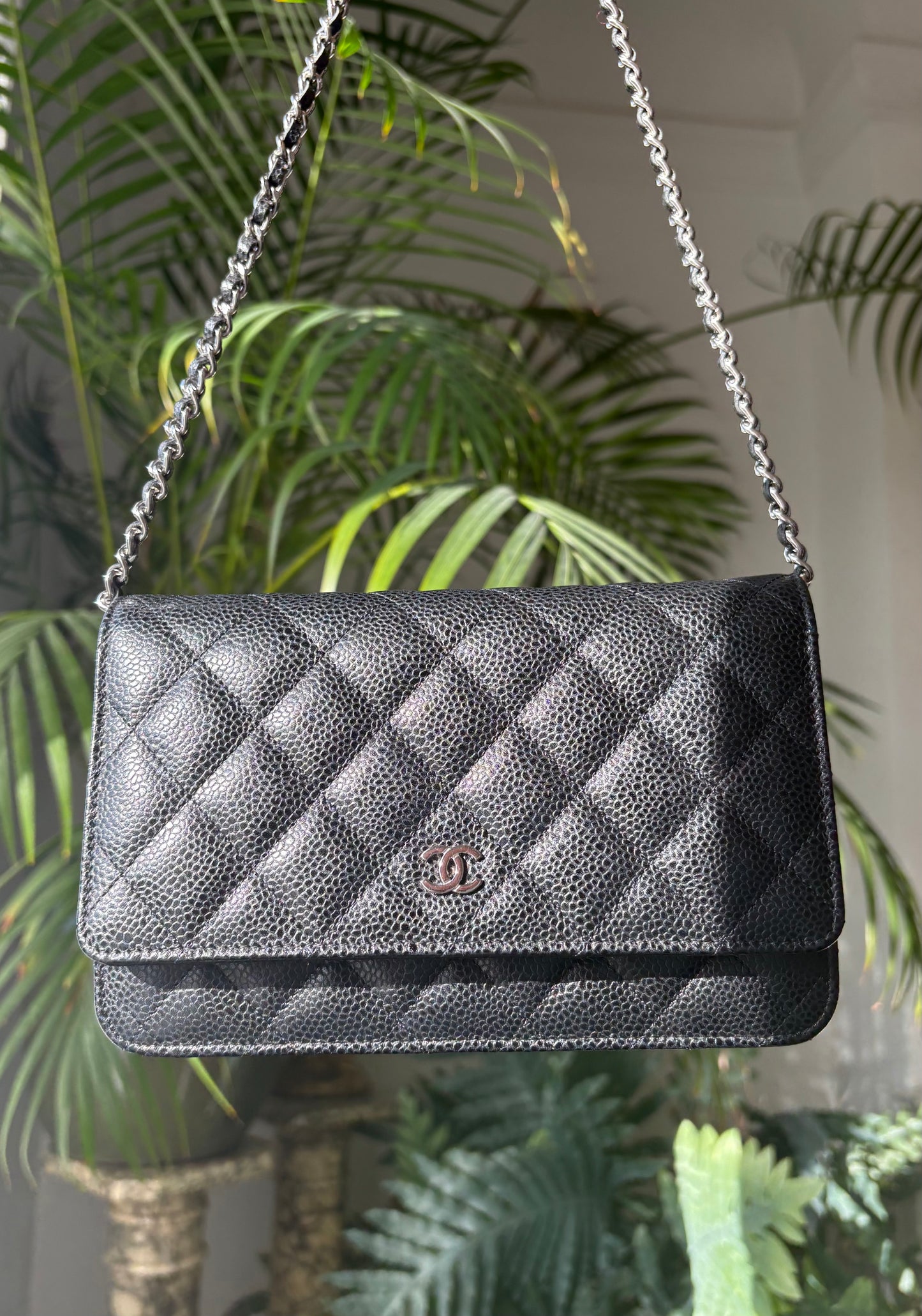 Chanel WOC