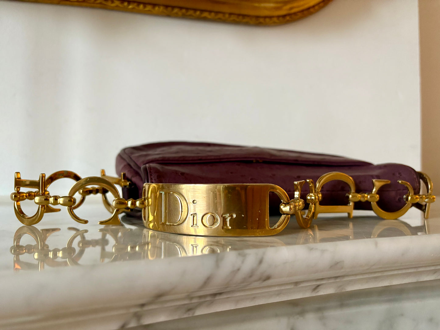 Dior Mini Saddle