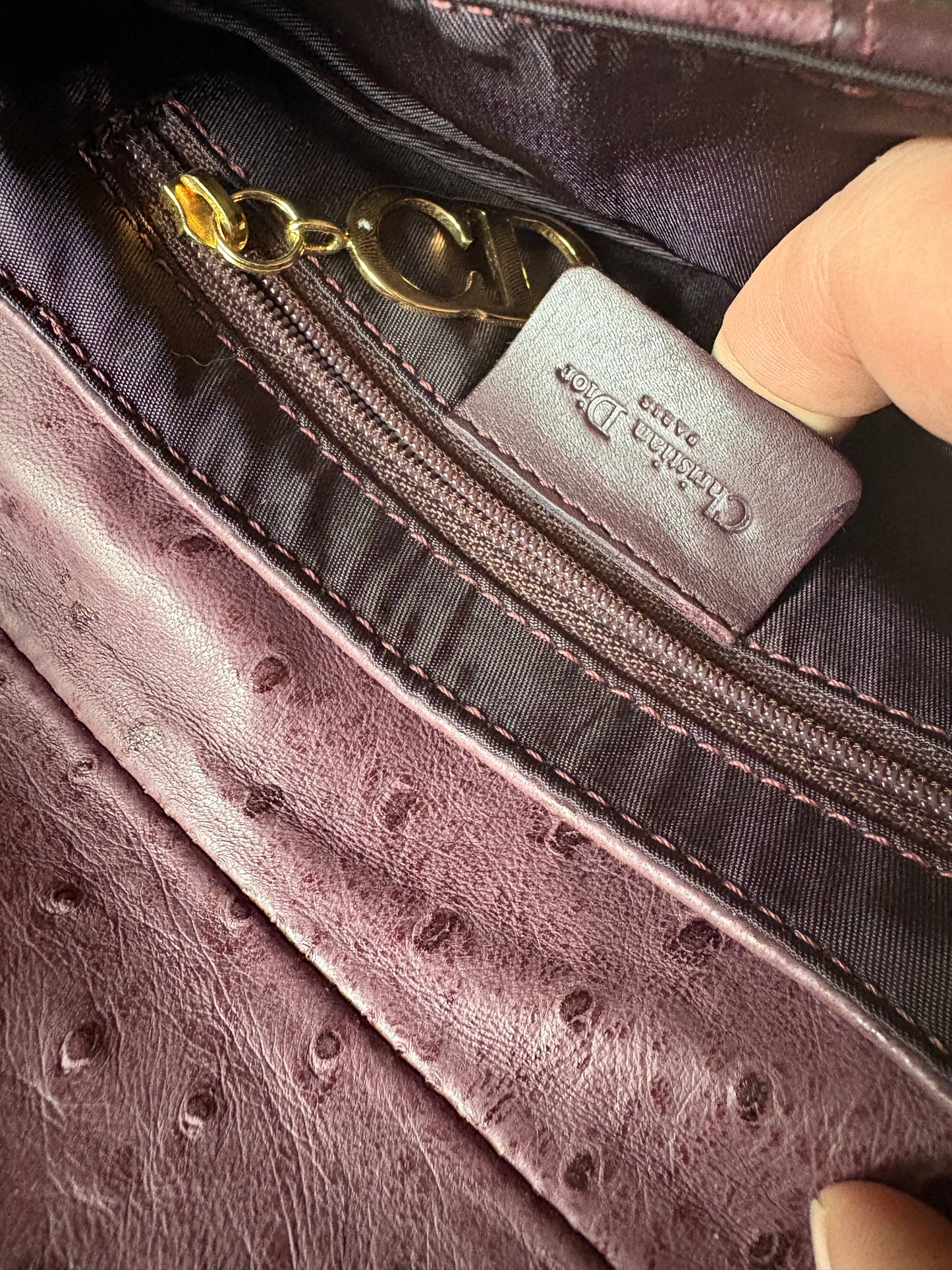 Dior Mini Saddle