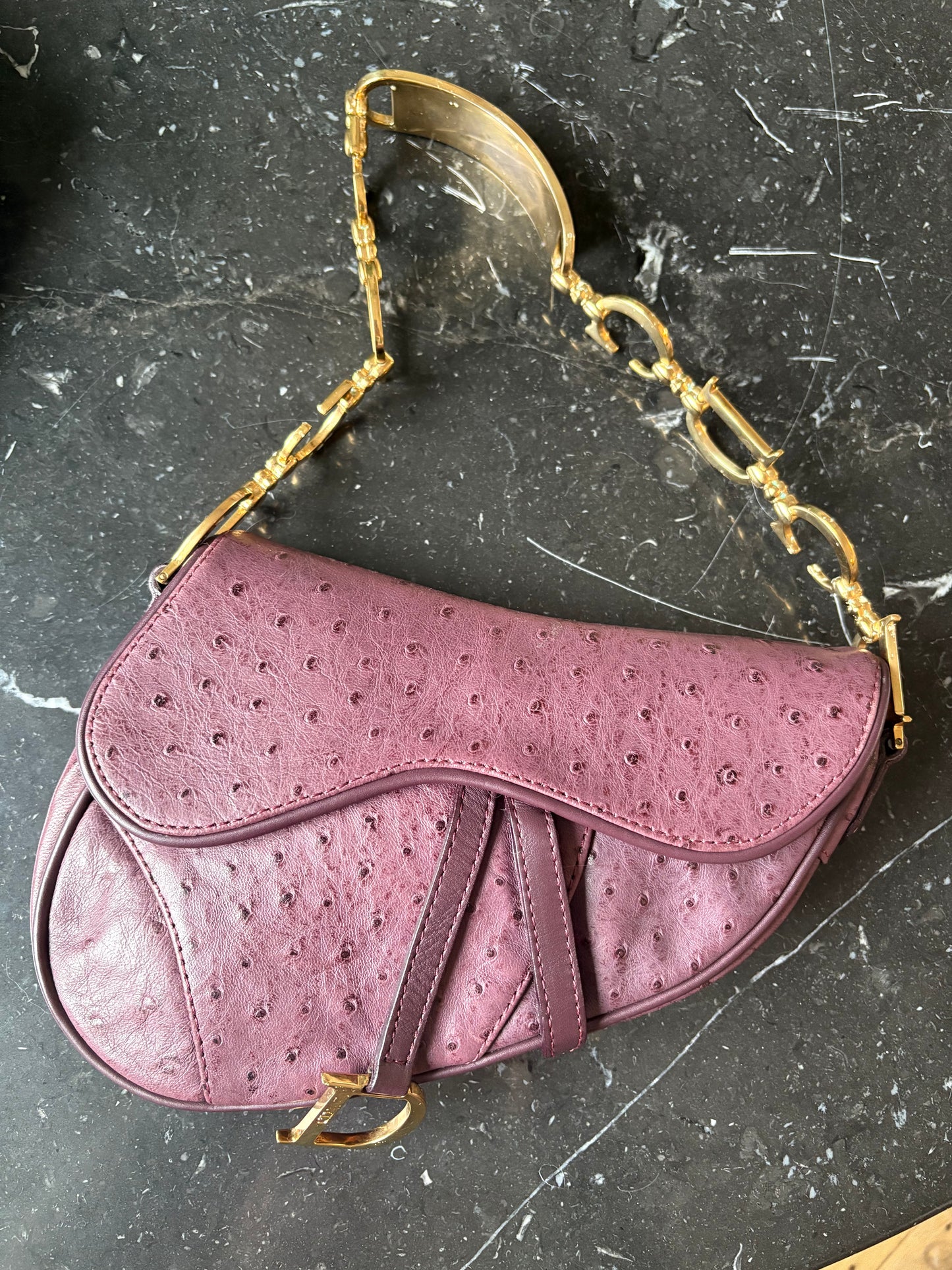 Dior Mini Saddle