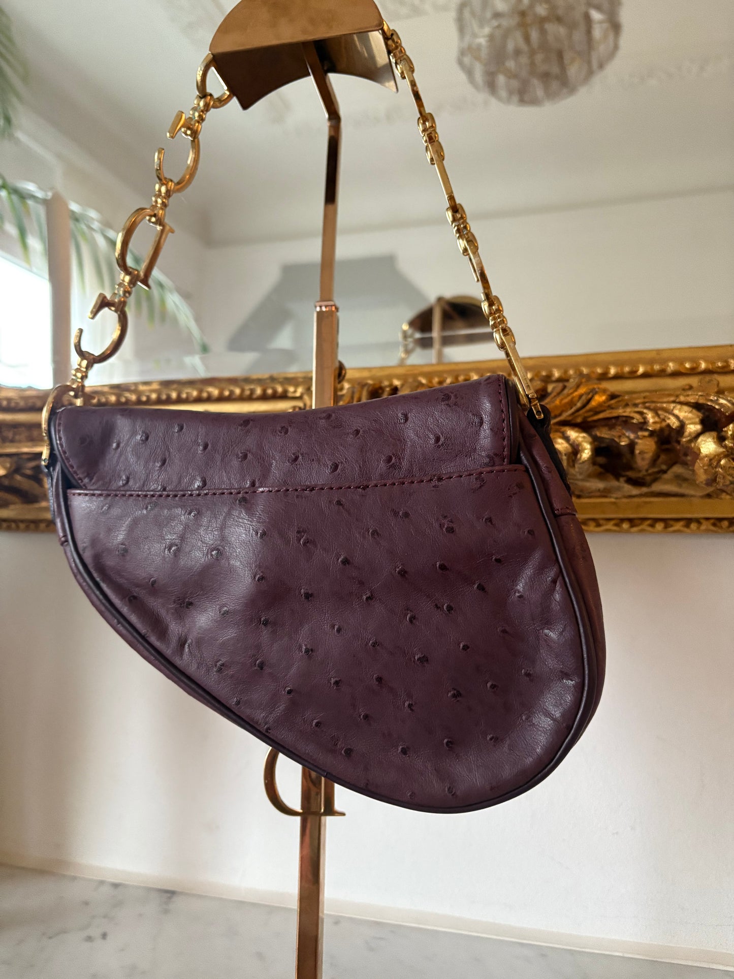 Dior Mini Saddle