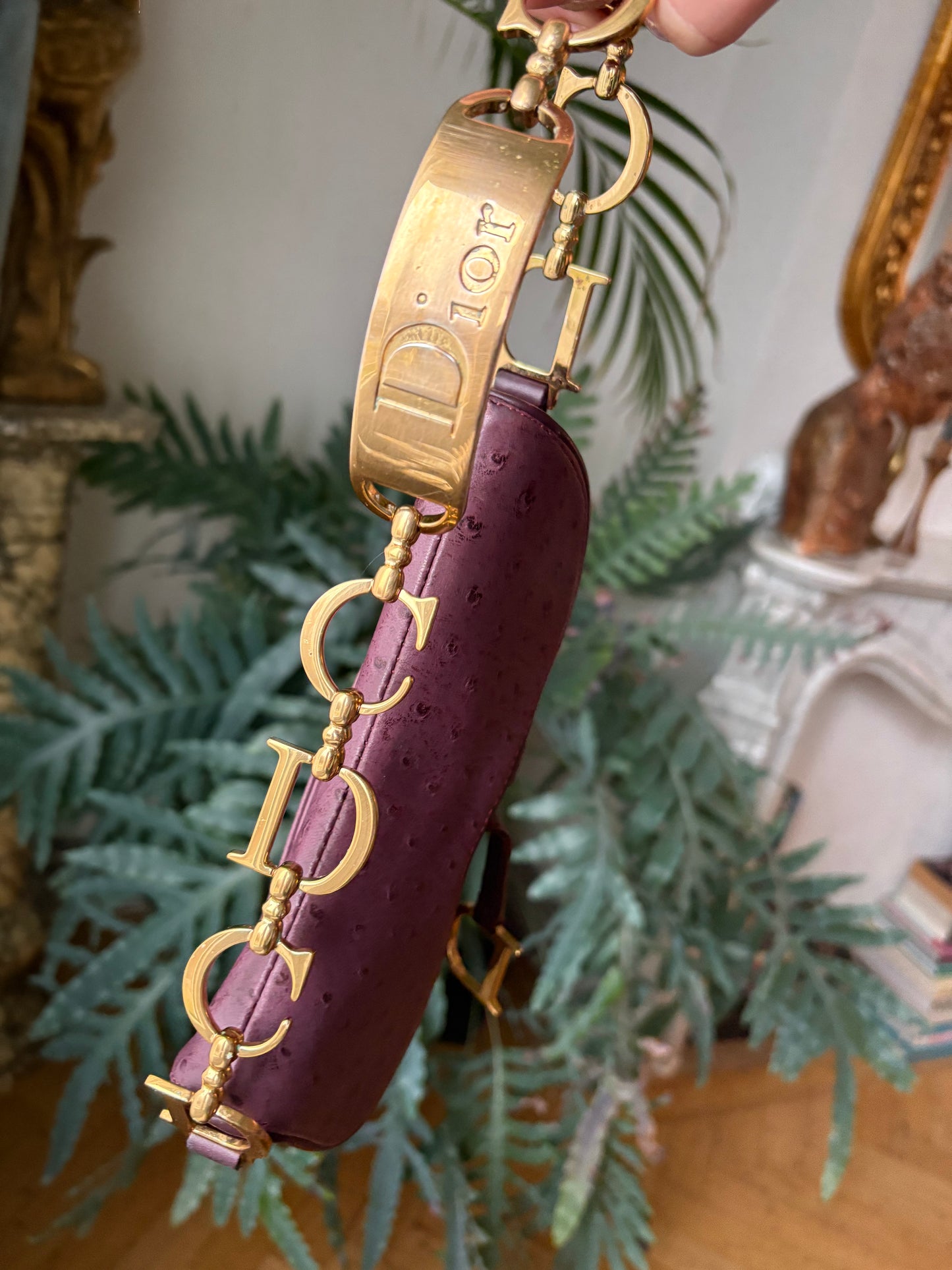 Dior Mini Saddle