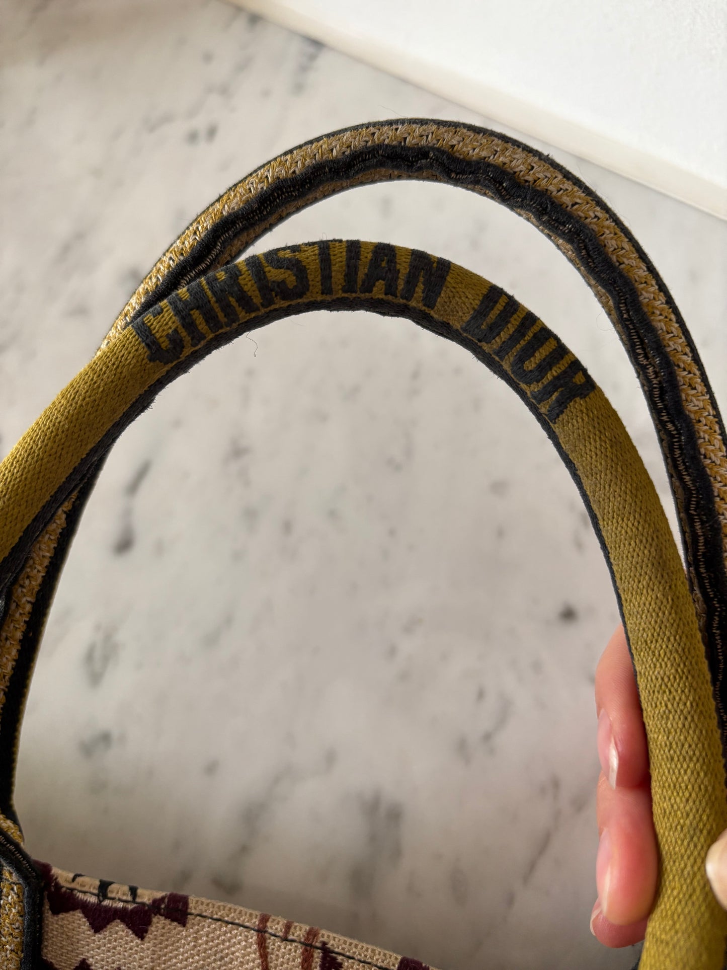Dior Book tote