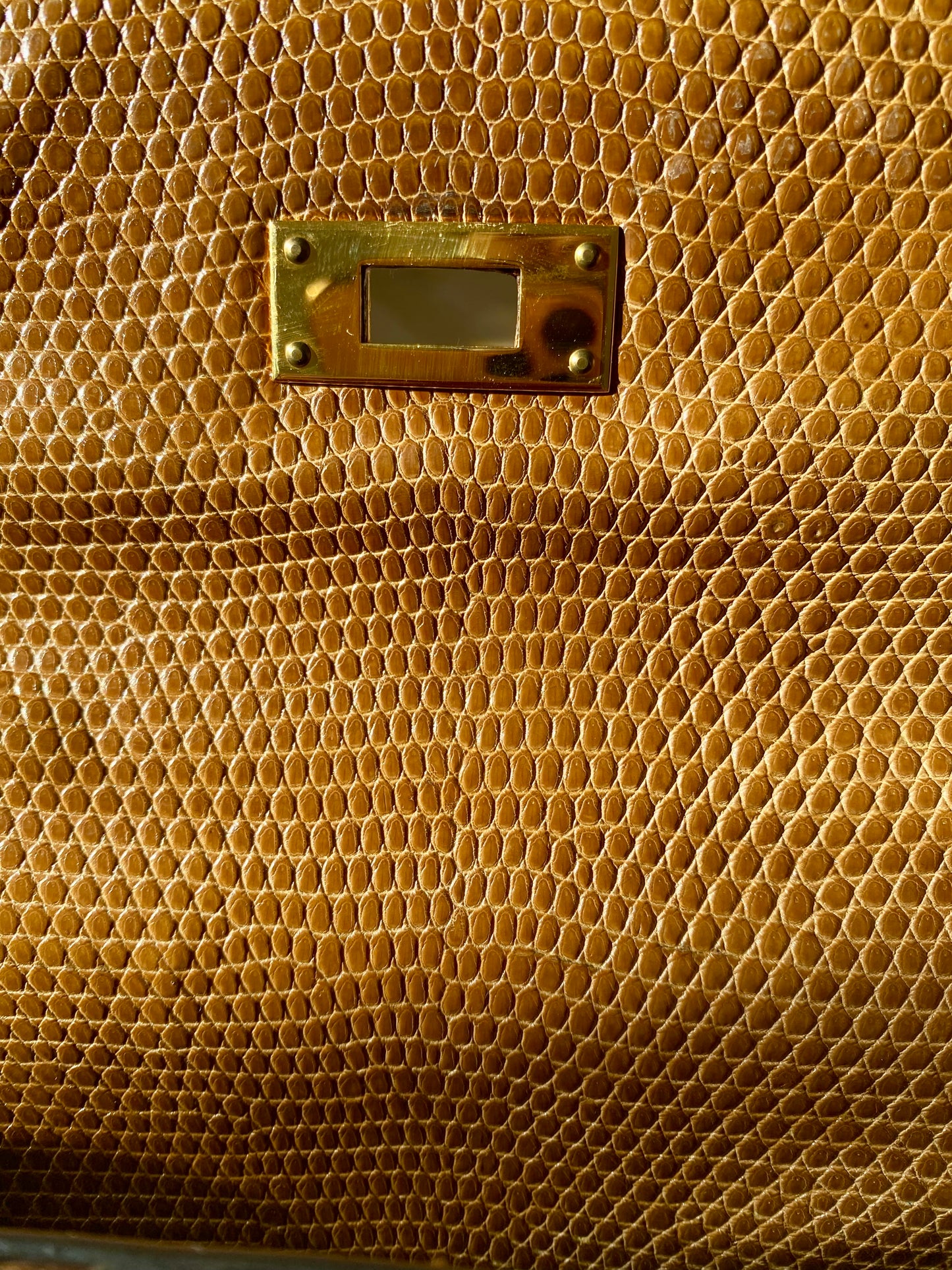 Hermès Kelly Lizard