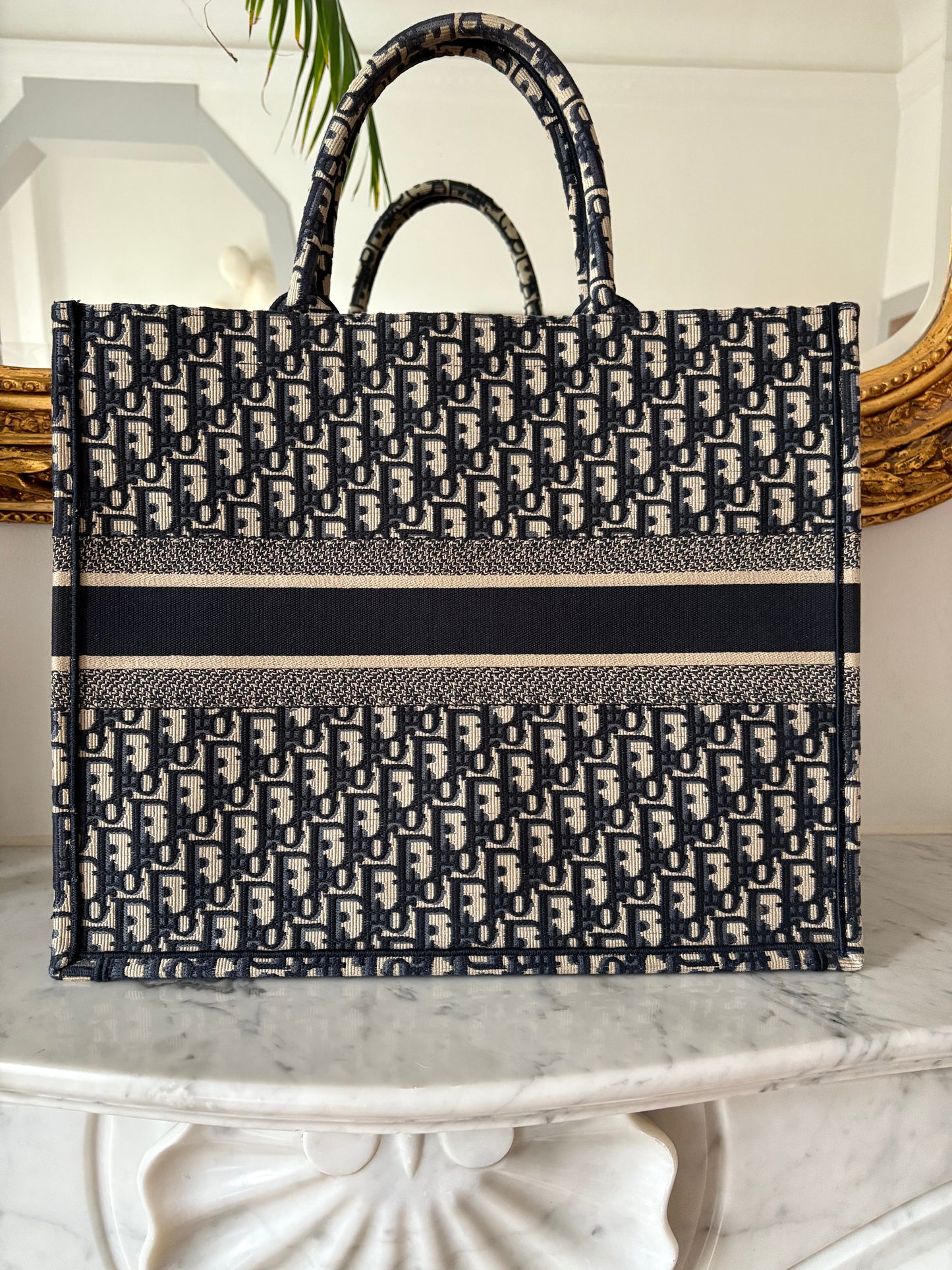 Dior Book tote classic