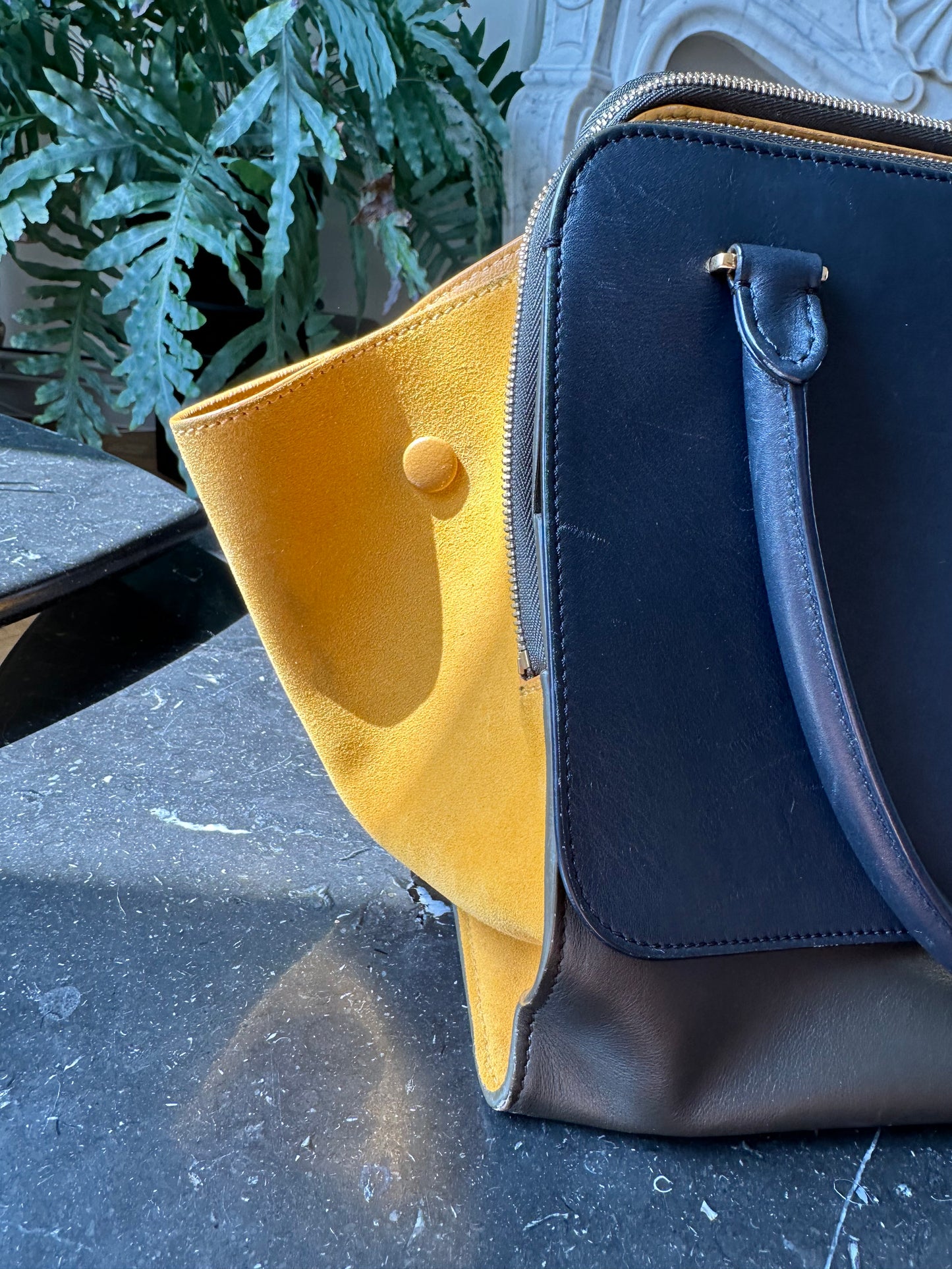Celine Trapeze