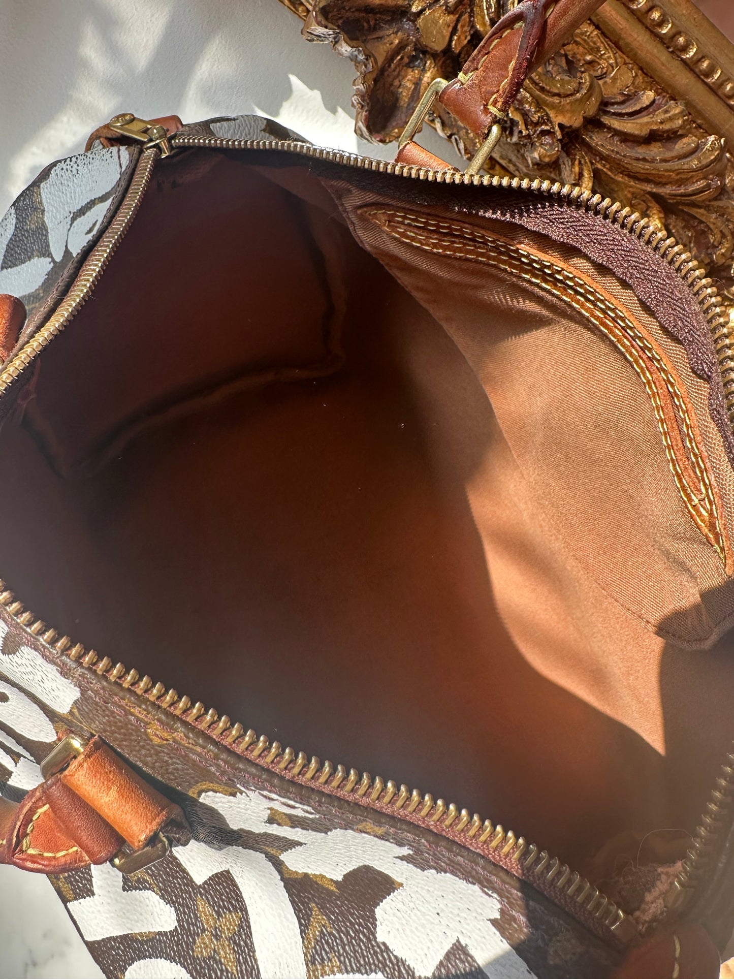 Louis Vuitton Graffiti Speedy