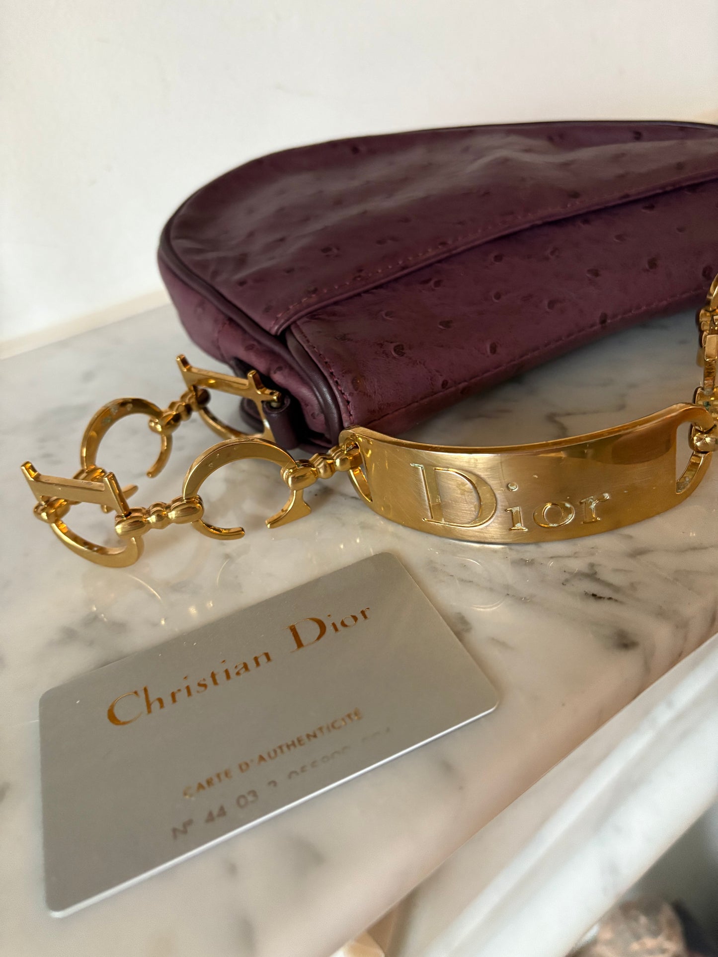 Dior Mini Saddle
