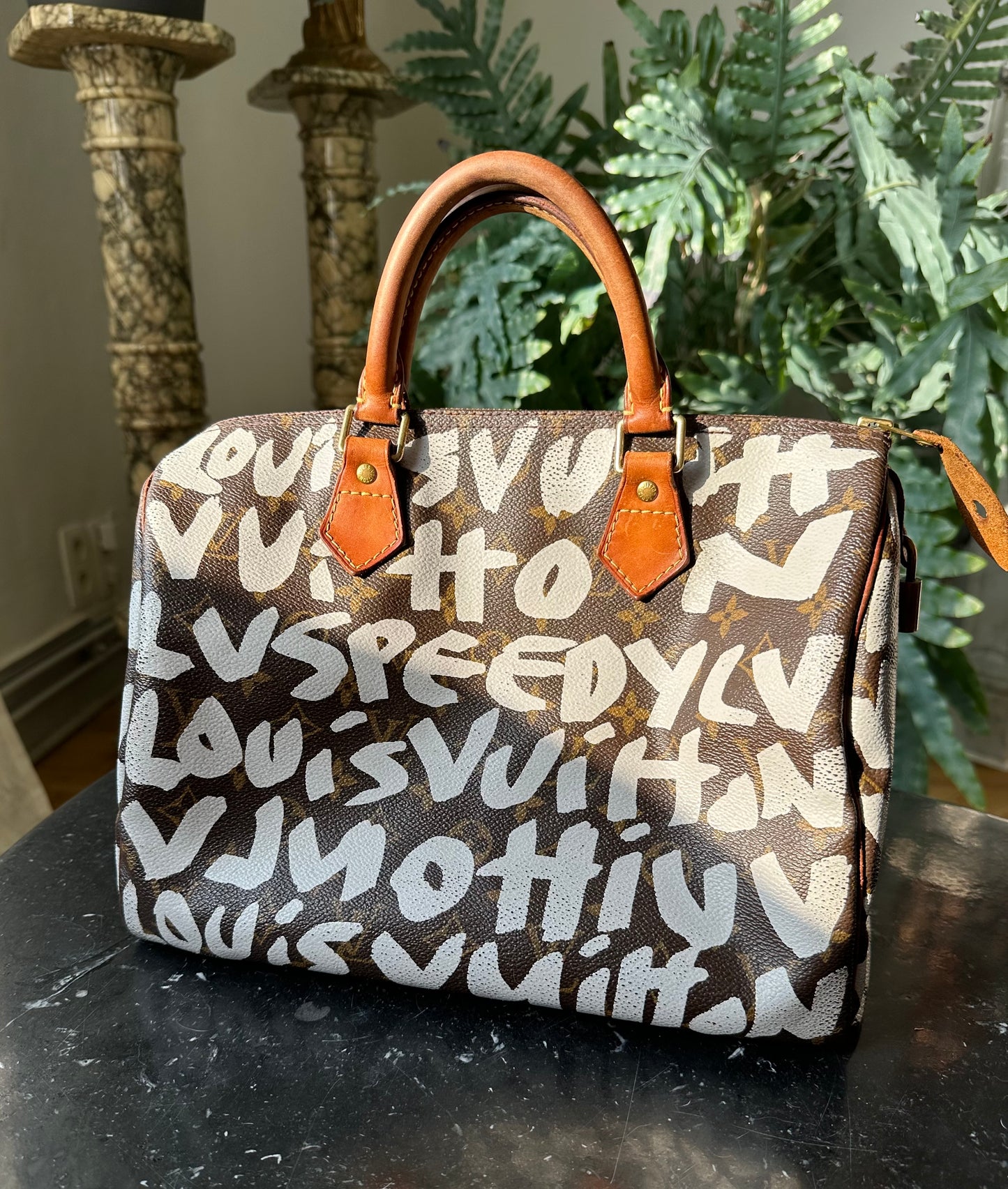 Louis Vuitton Graffiti Speedy