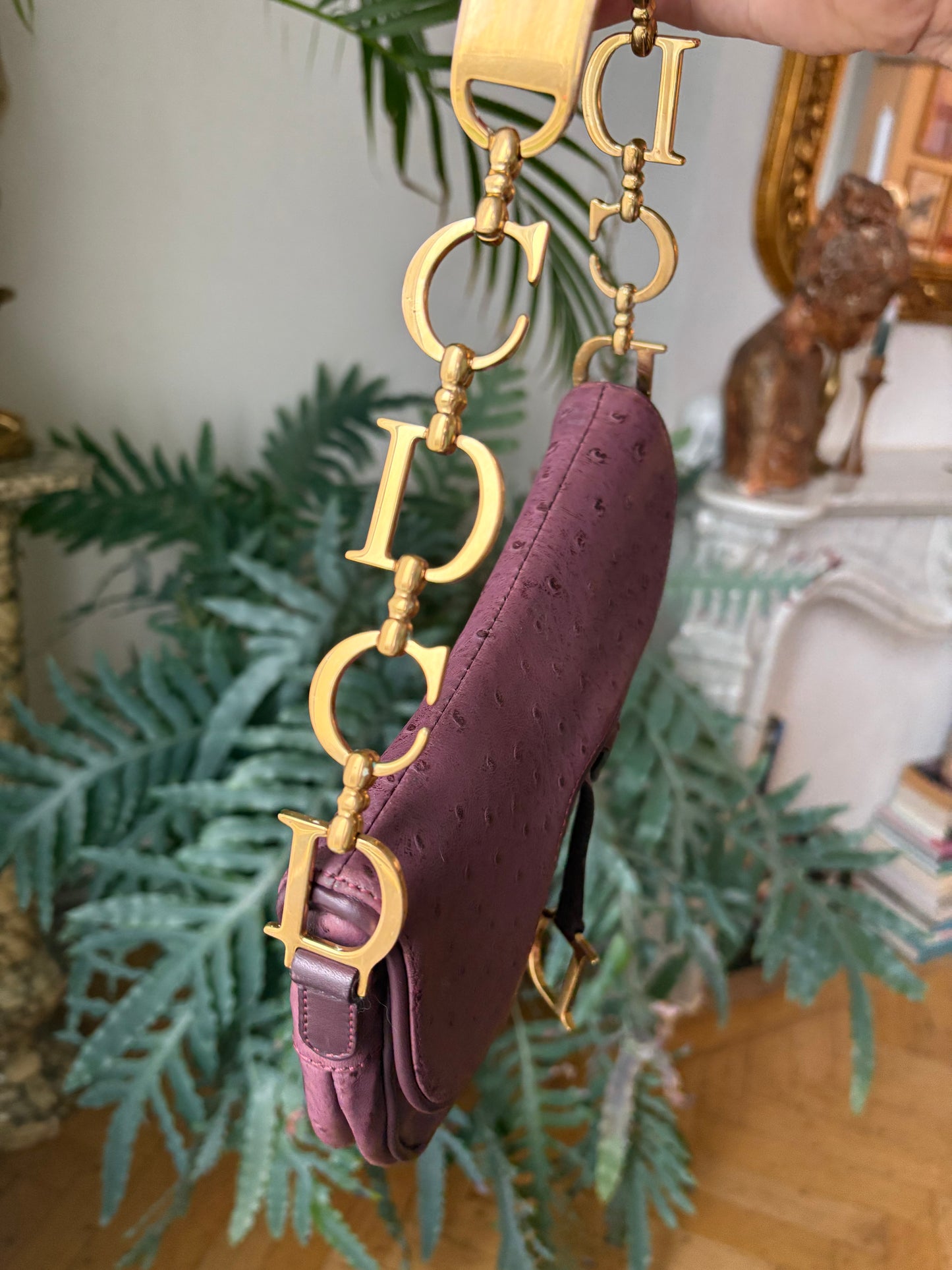 Dior Mini Saddle