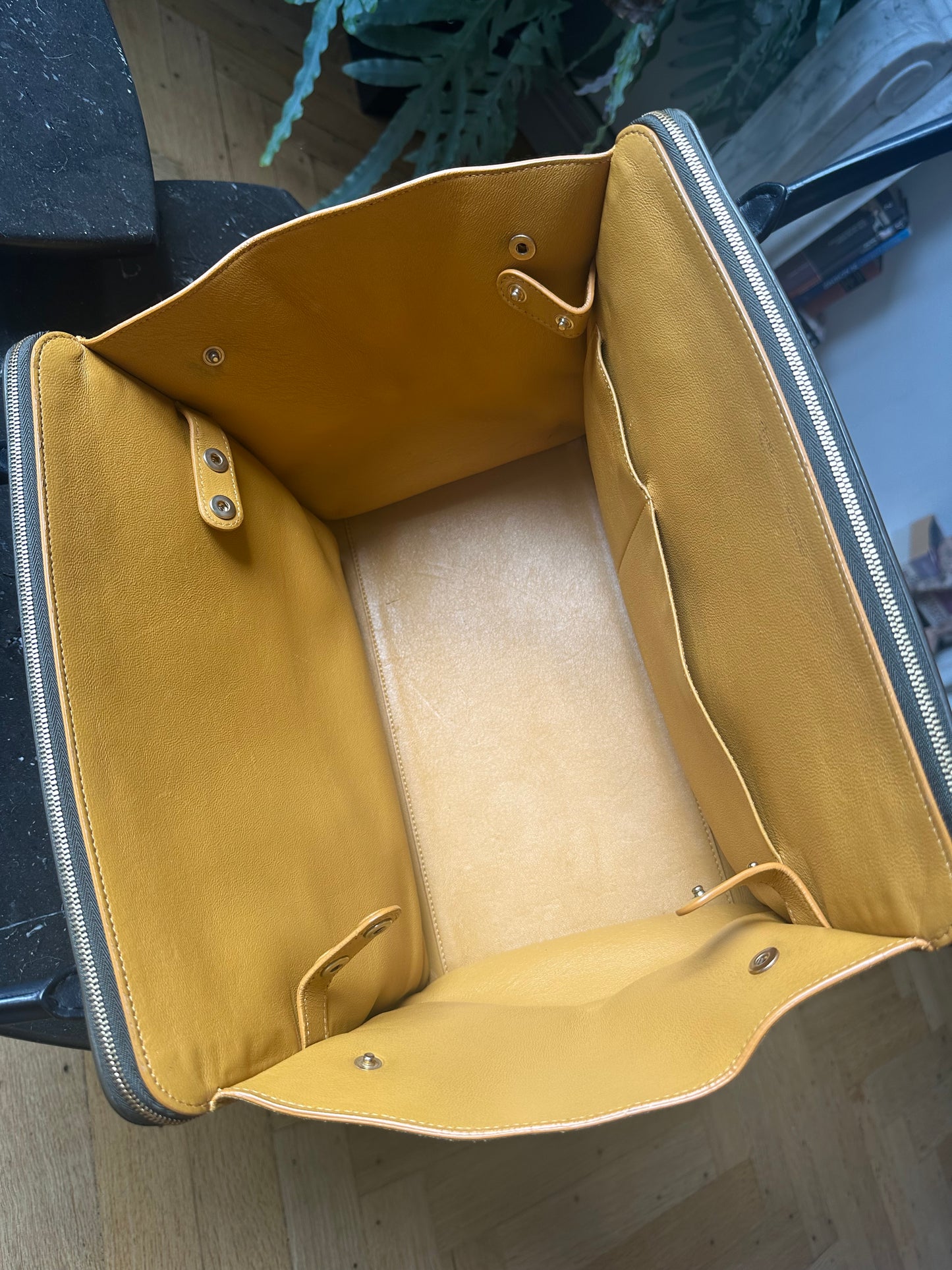 Celine Trapeze