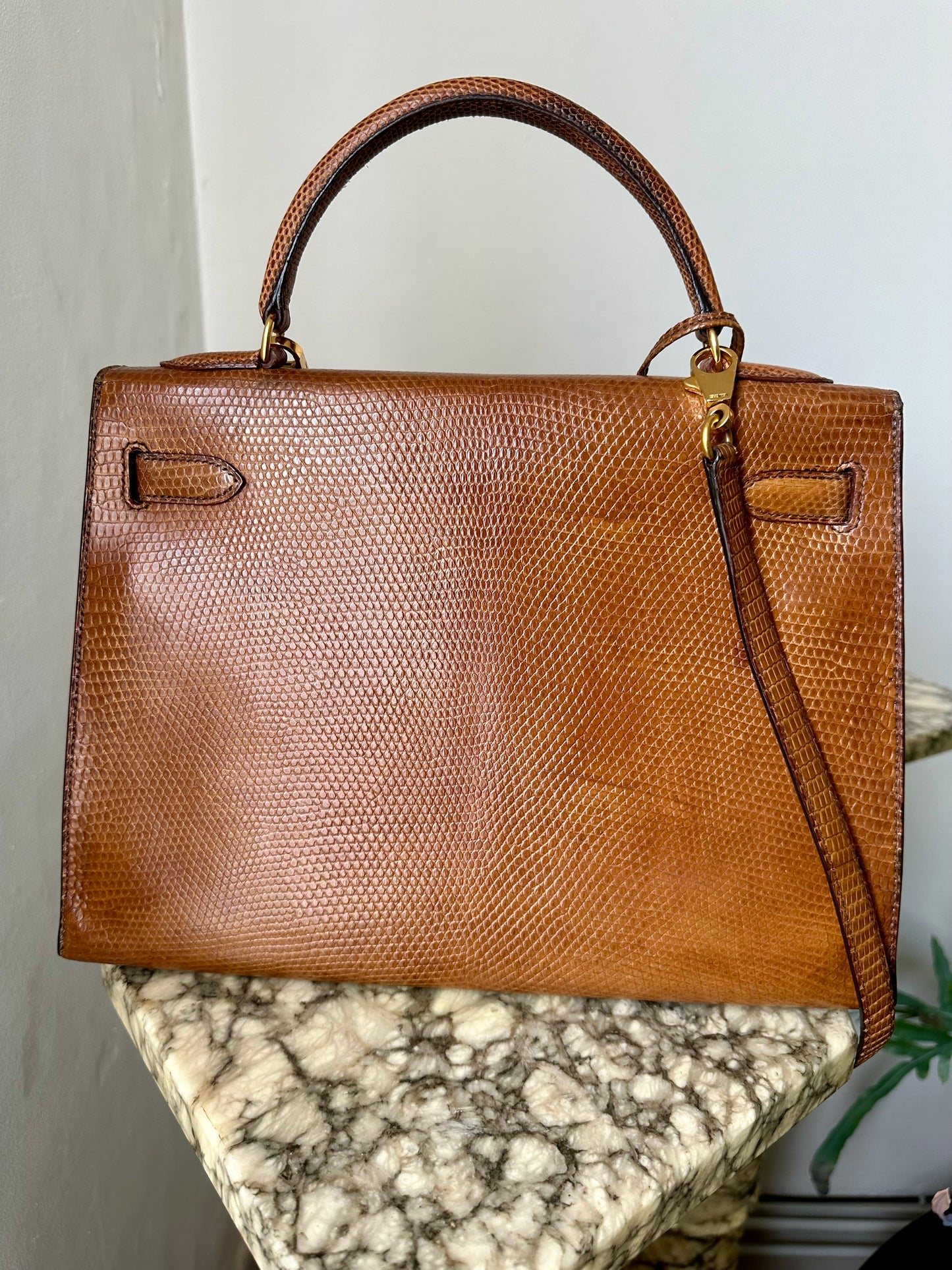 Hermès Kelly Lizard