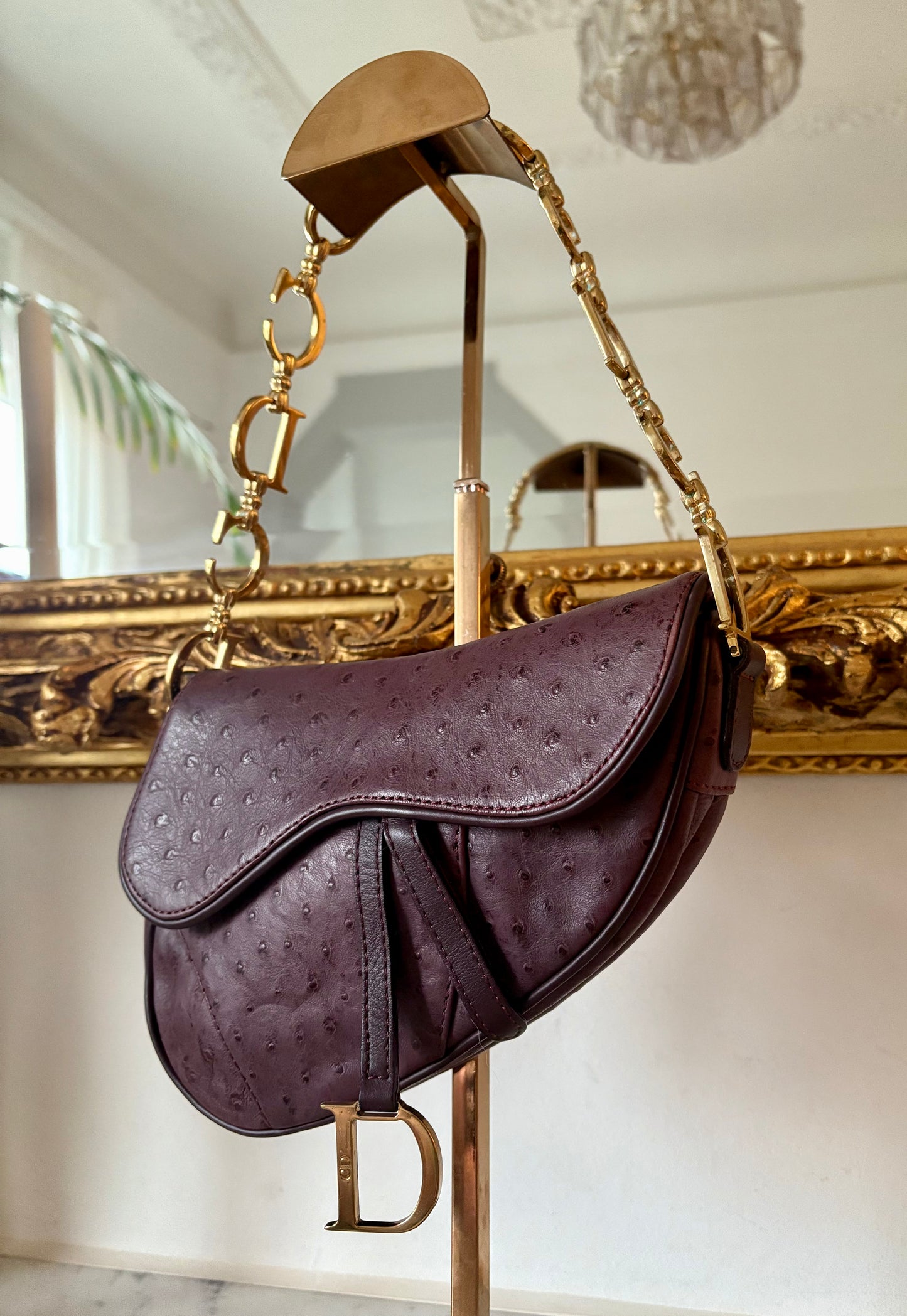 Dior Mini Saddle