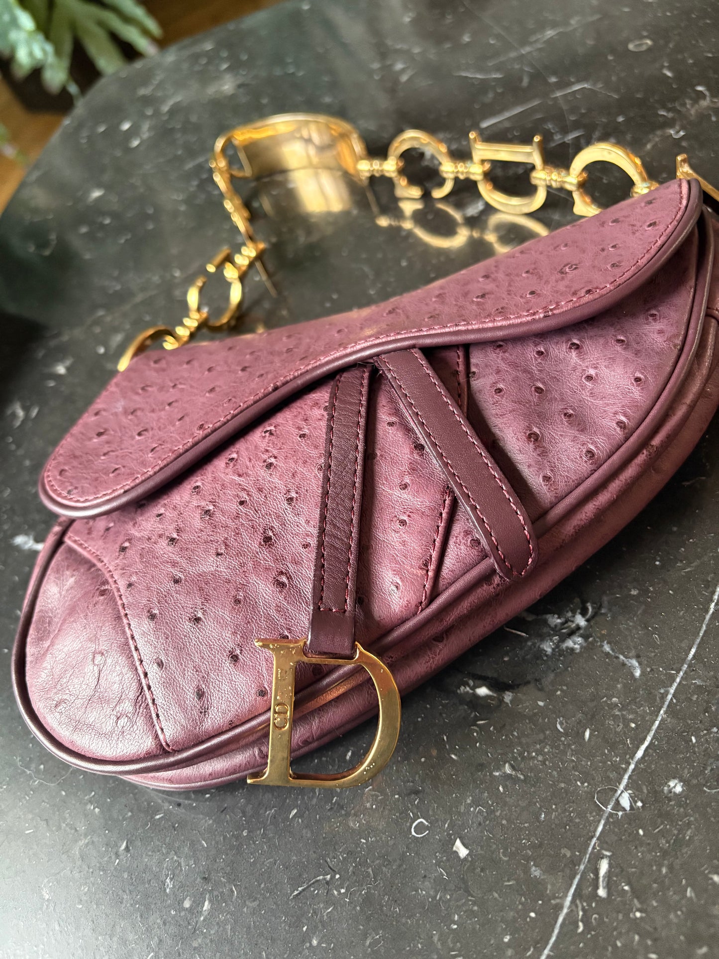 Dior Mini Saddle