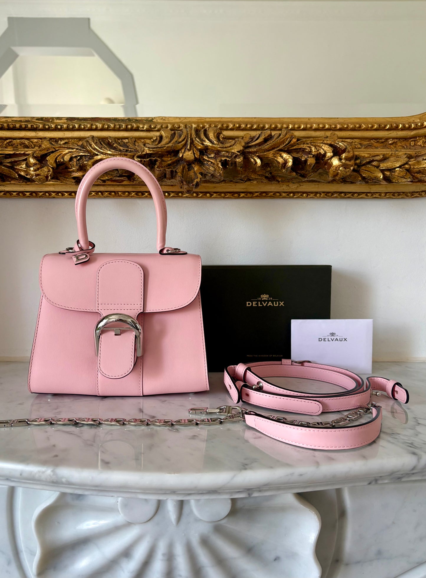 Delvaux Brillant Mini
