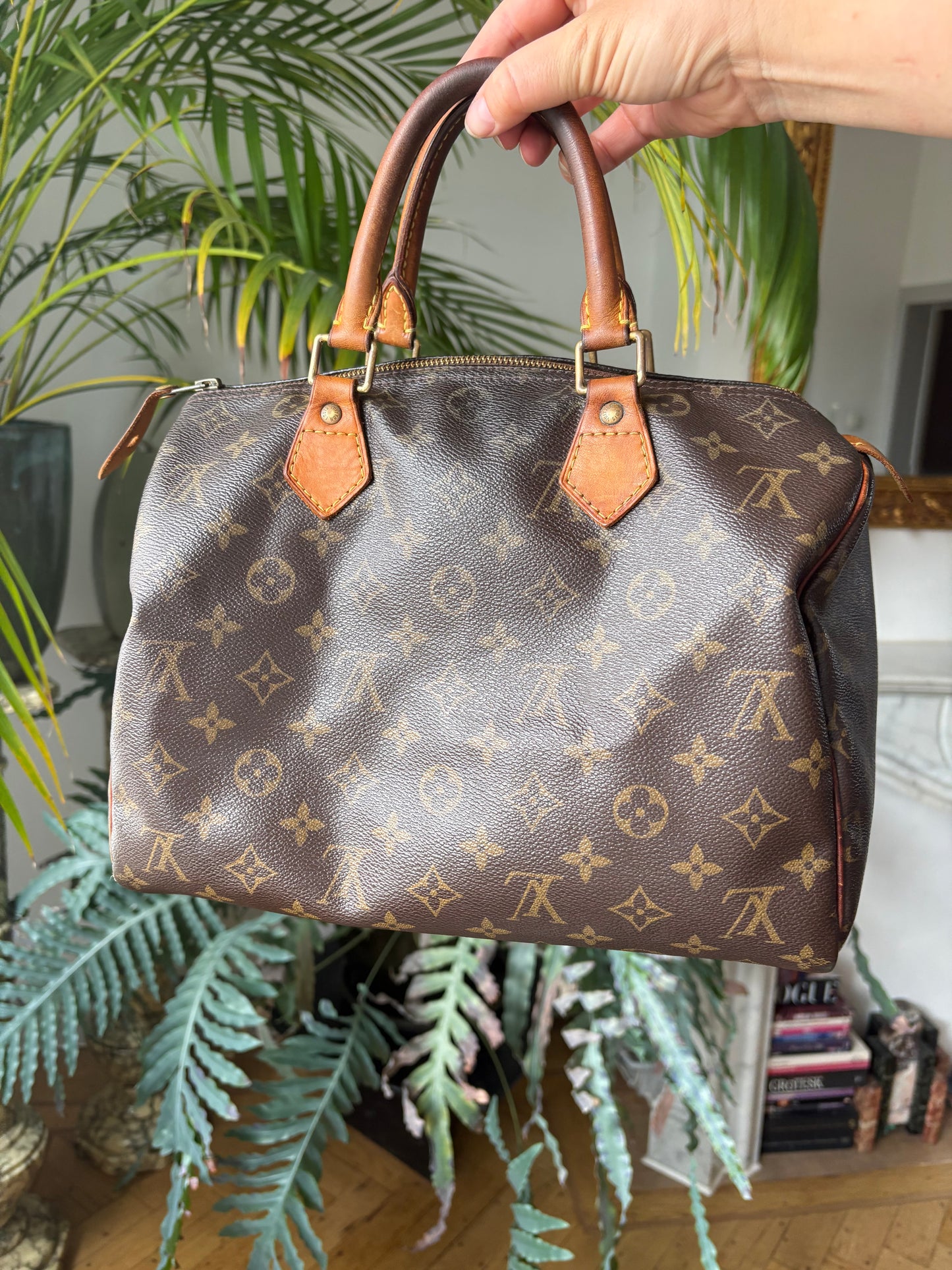 Louis Vuitton Speedy 30