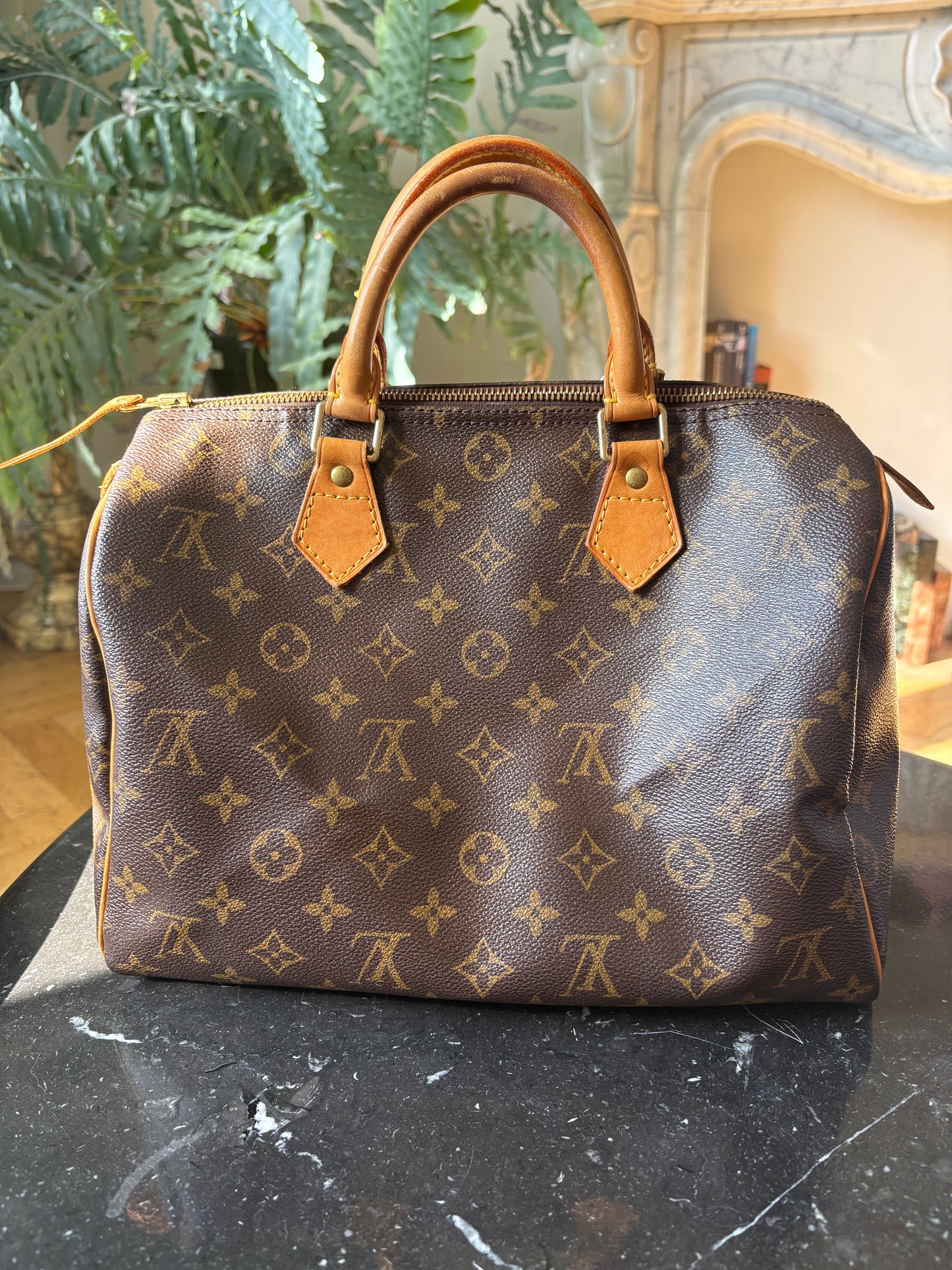 Louis Vuitton Speedy 30