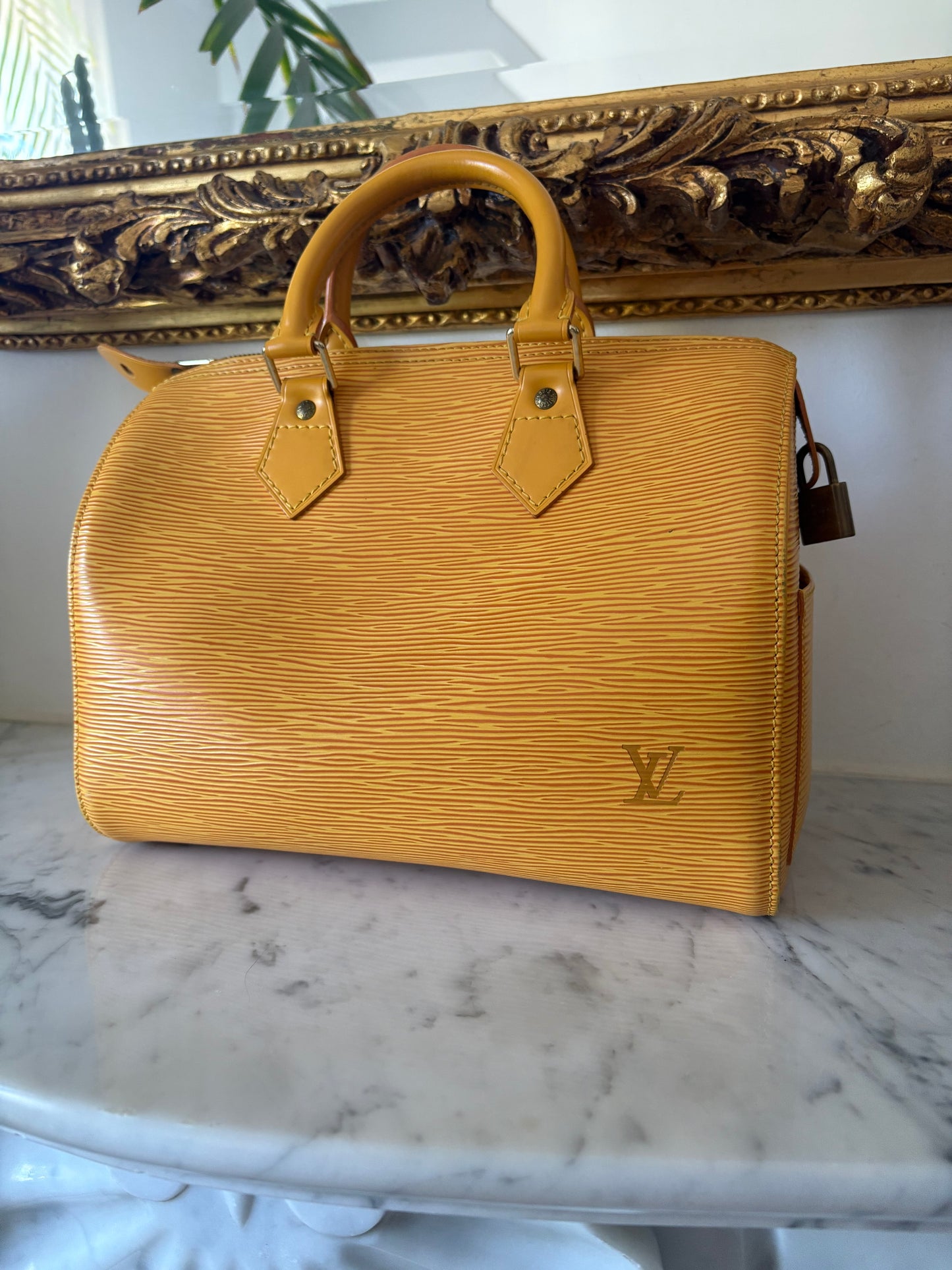 Louis Vuitton Speedy Epi