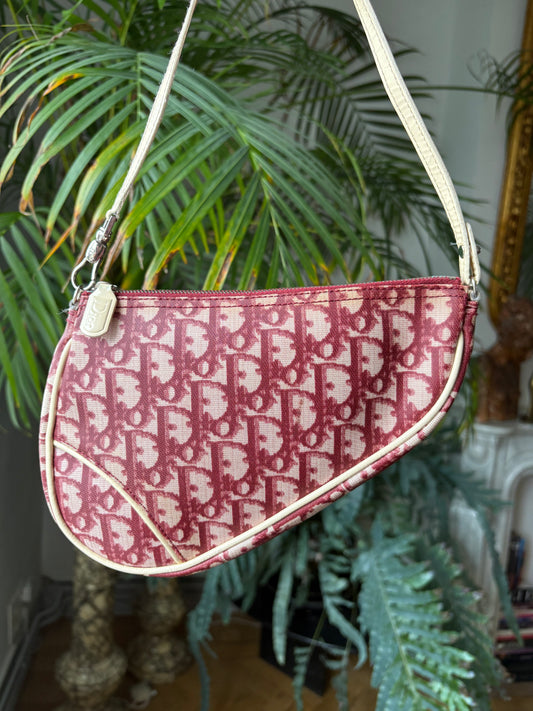 Dior Mini Saddle