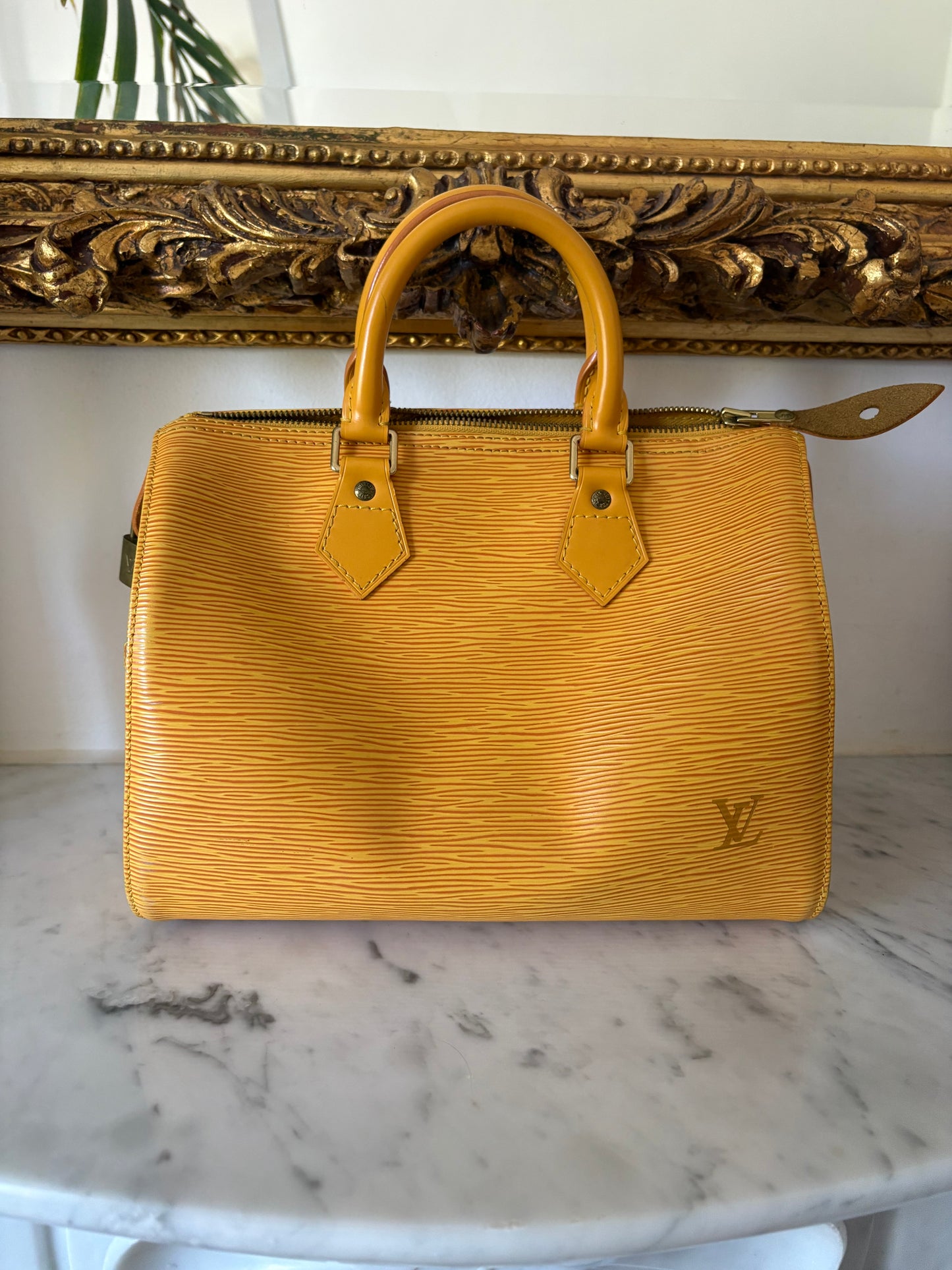 Louis Vuitton Speedy Epi