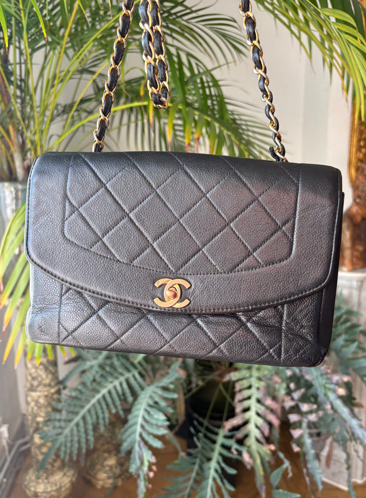 Chanel Diana