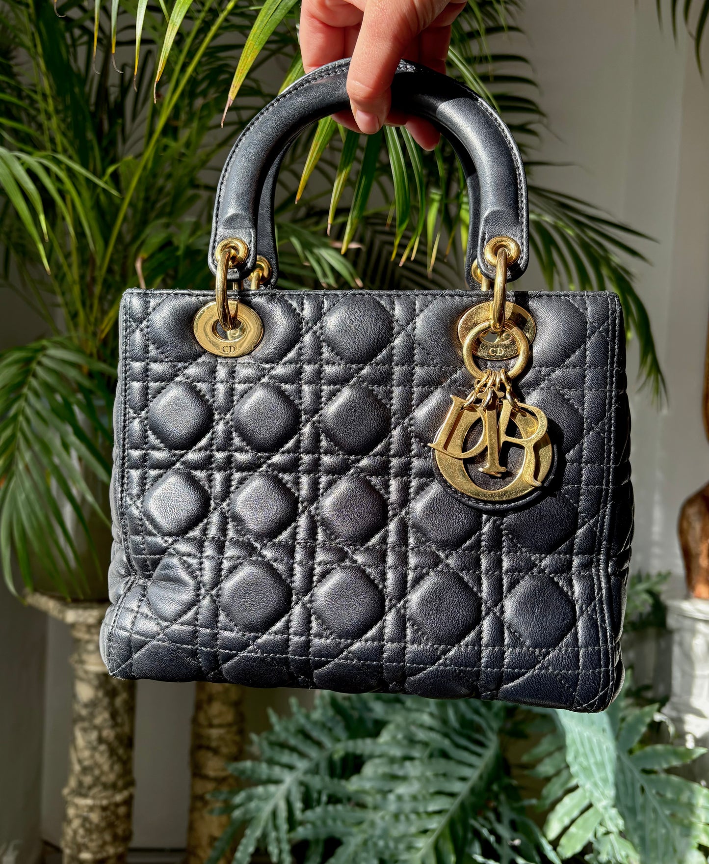 Lady Dior