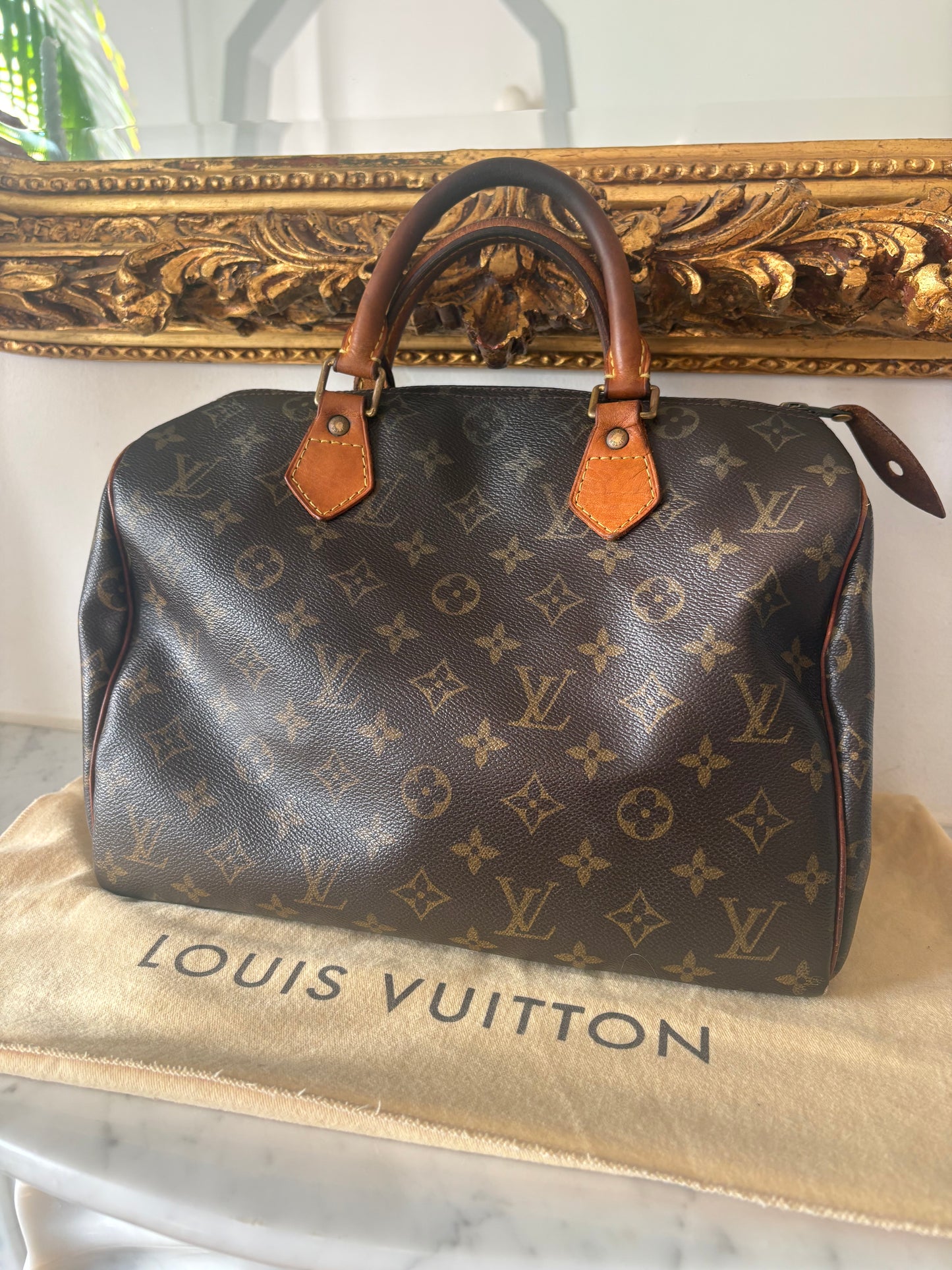Louis Vuitton Speedy 30