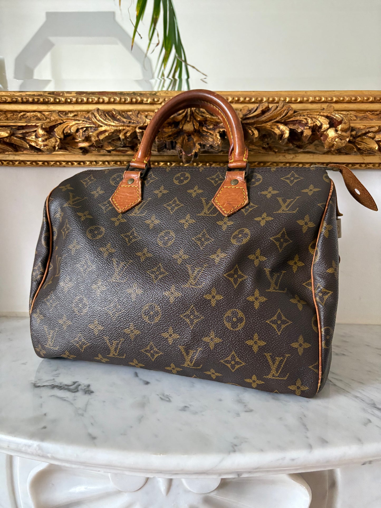 Louis Vuitton Speedy 30