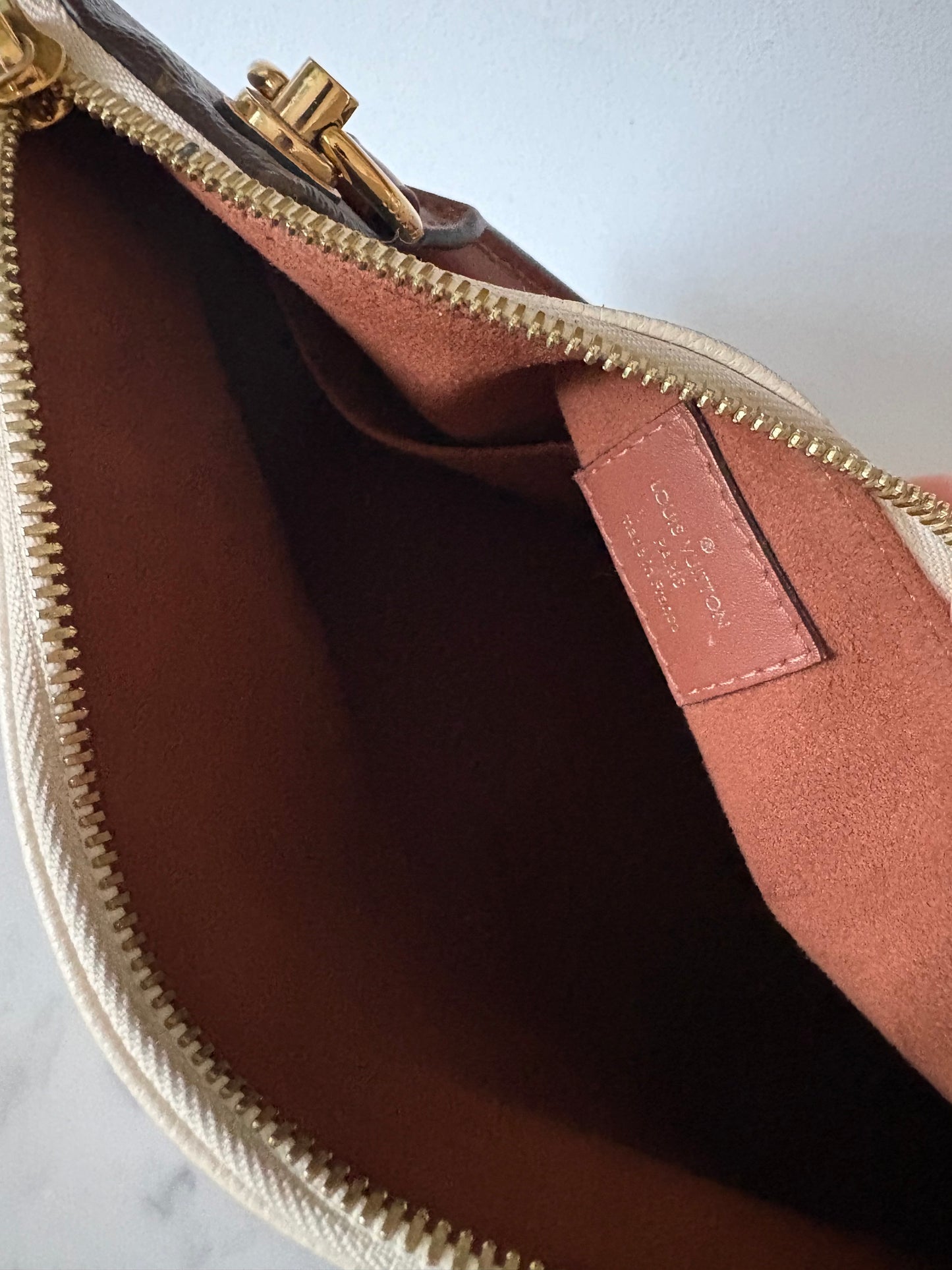 Louis Vuitton V tote