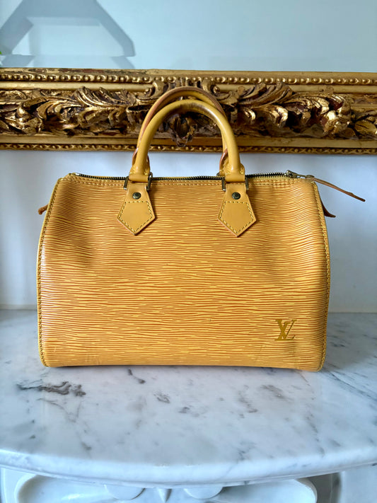 Louis Vuitton Speedy