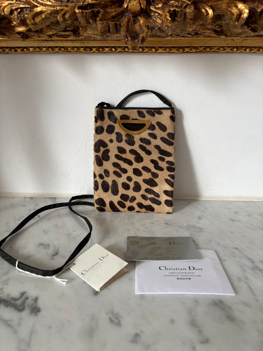 Dior ponyhair pouch