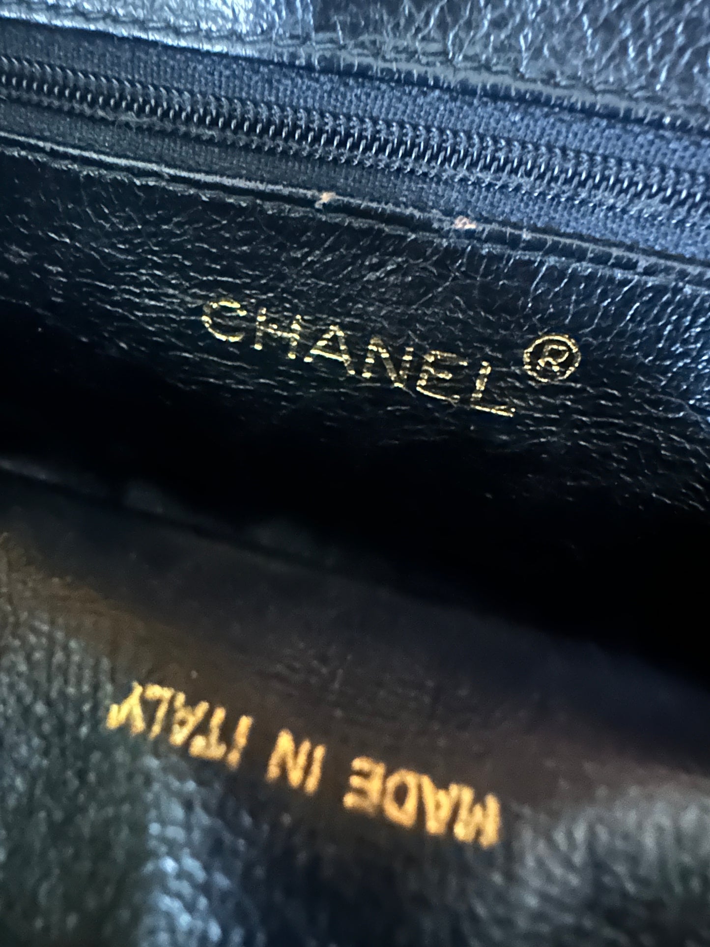 Chanel lizard camera bag