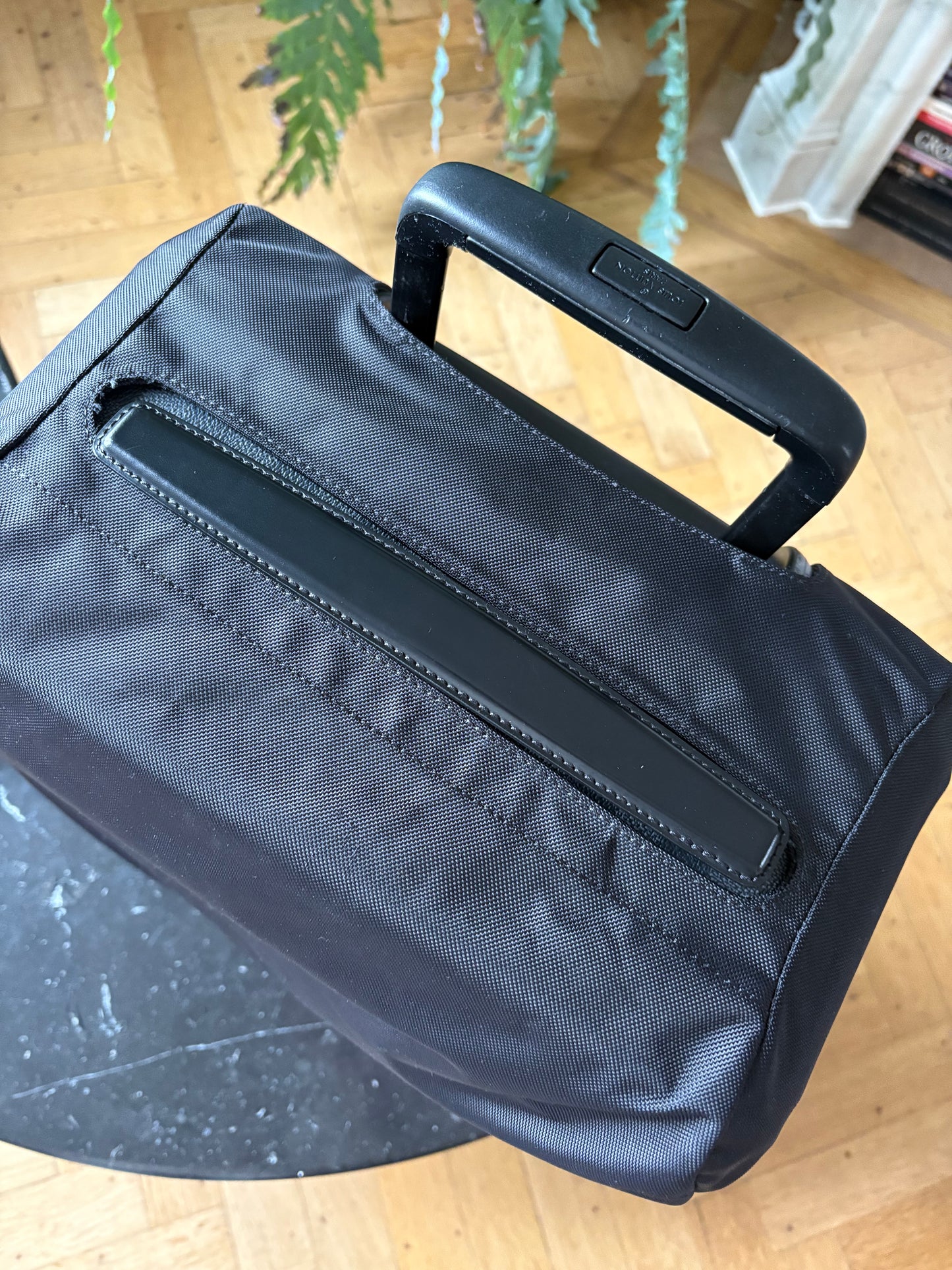 Louis Vuitton Pegase 55