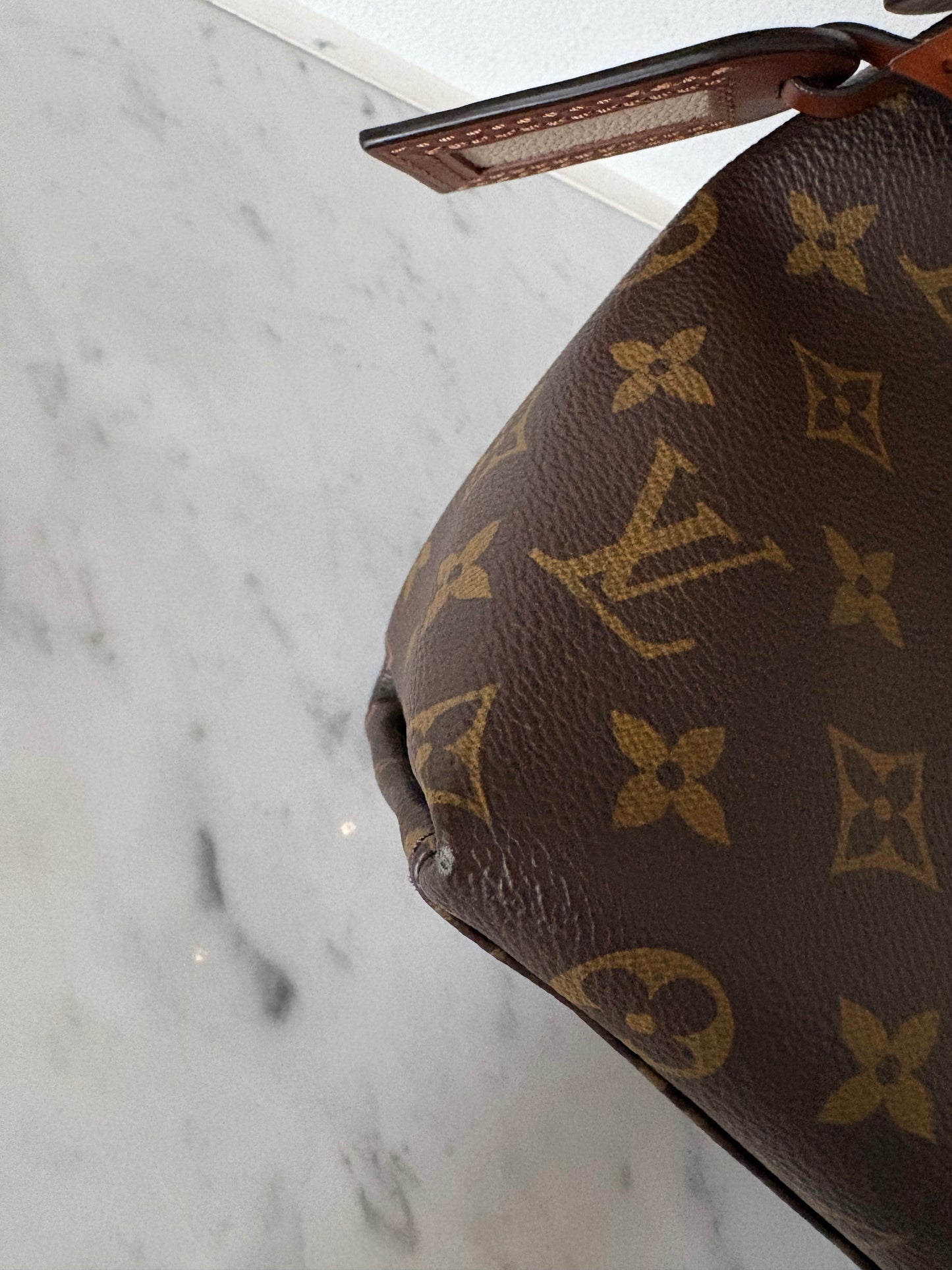 Louis Vuitton V tote