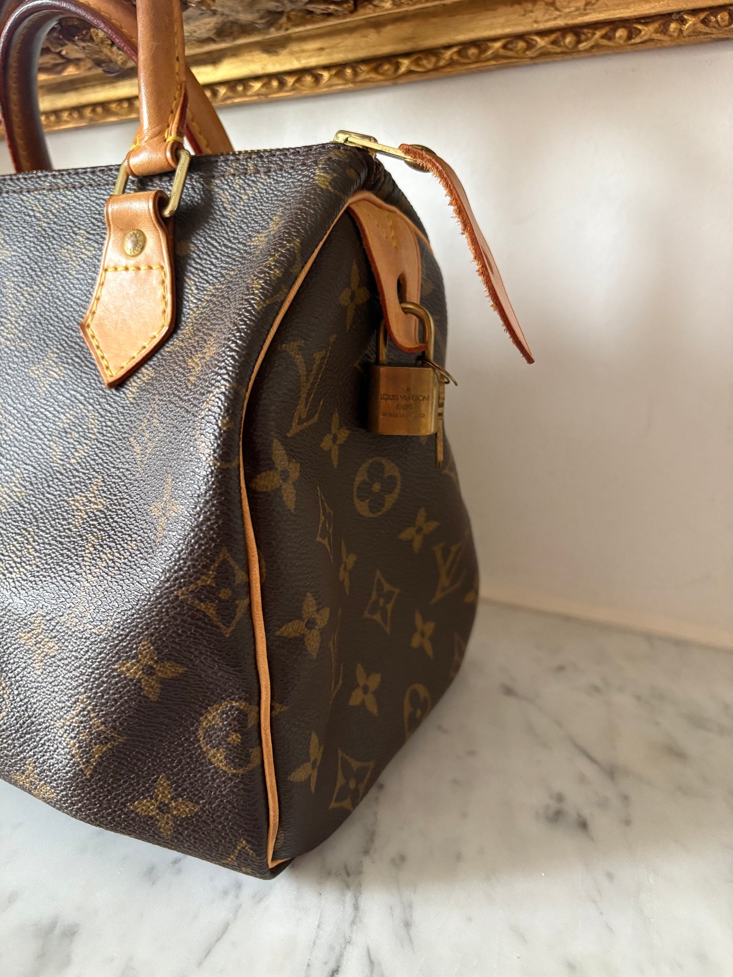 Louis Vuitton Speedy 25