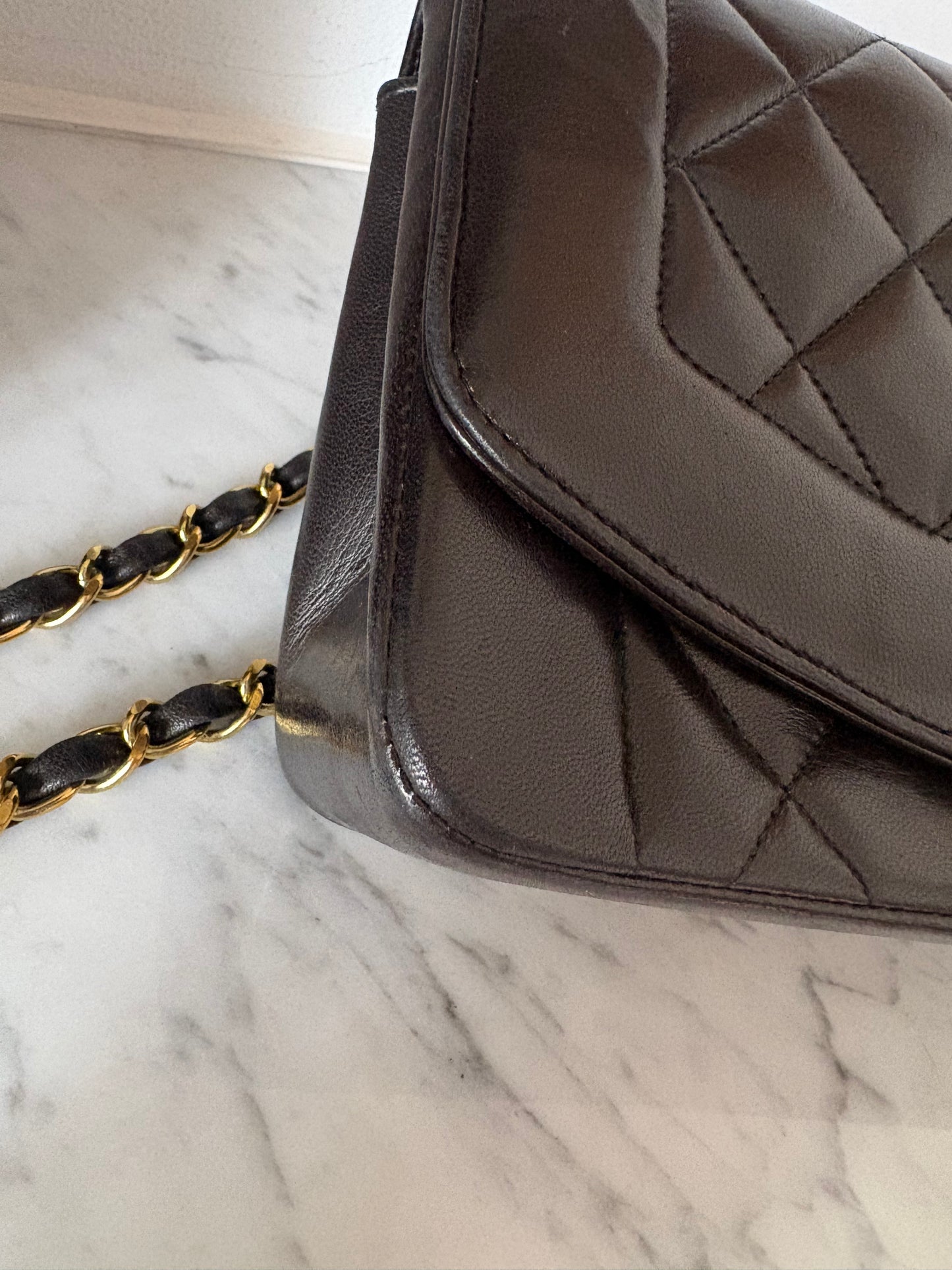 Chanel Diana