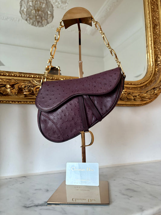 Dior Mini Saddle