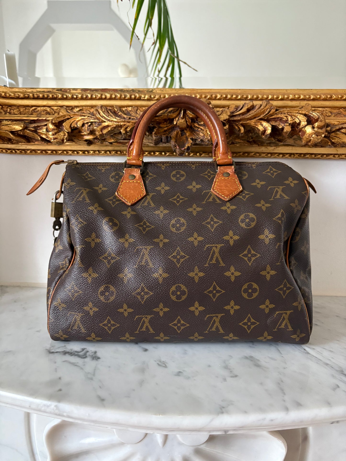 Louis Vuitton Speedy 30