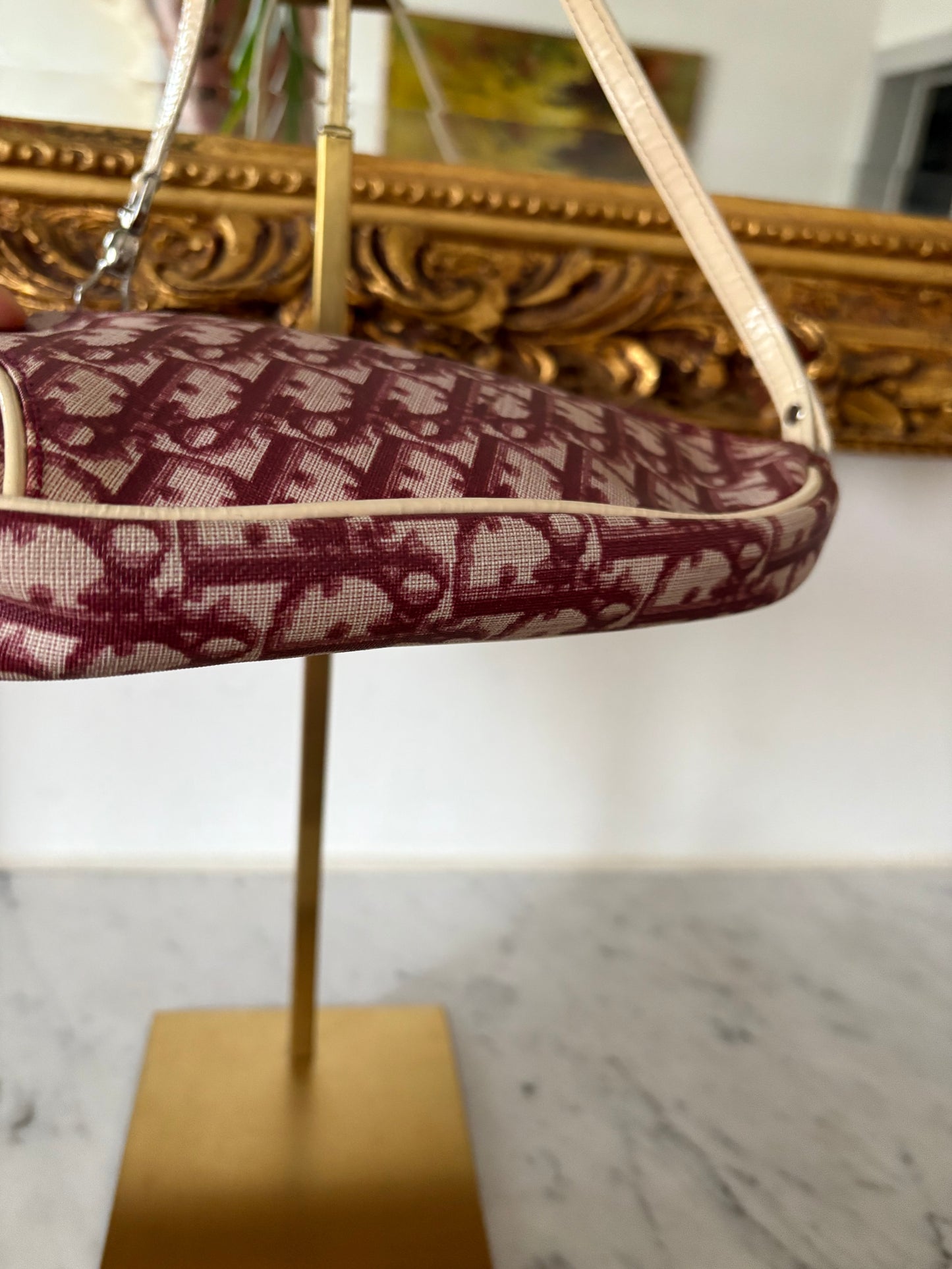 Dior Mini Saddle