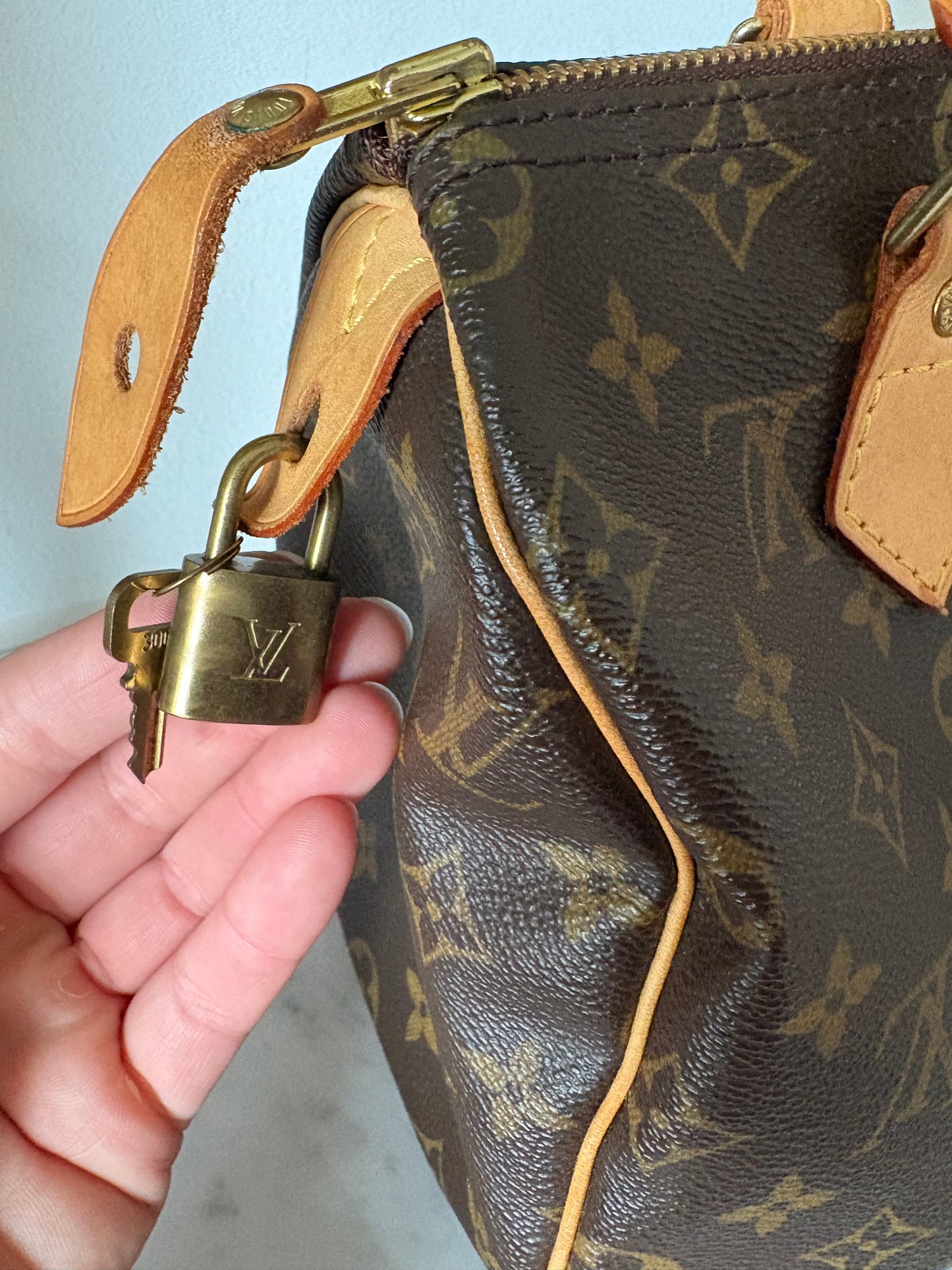Louis Vuitton Speedy 25