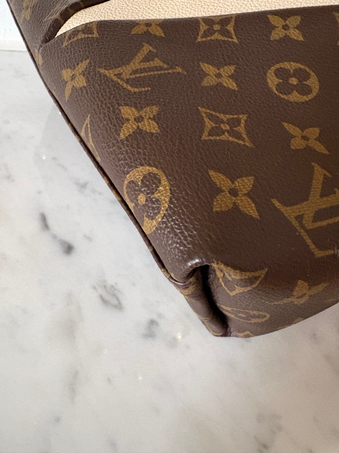 Louis Vuitton V tote