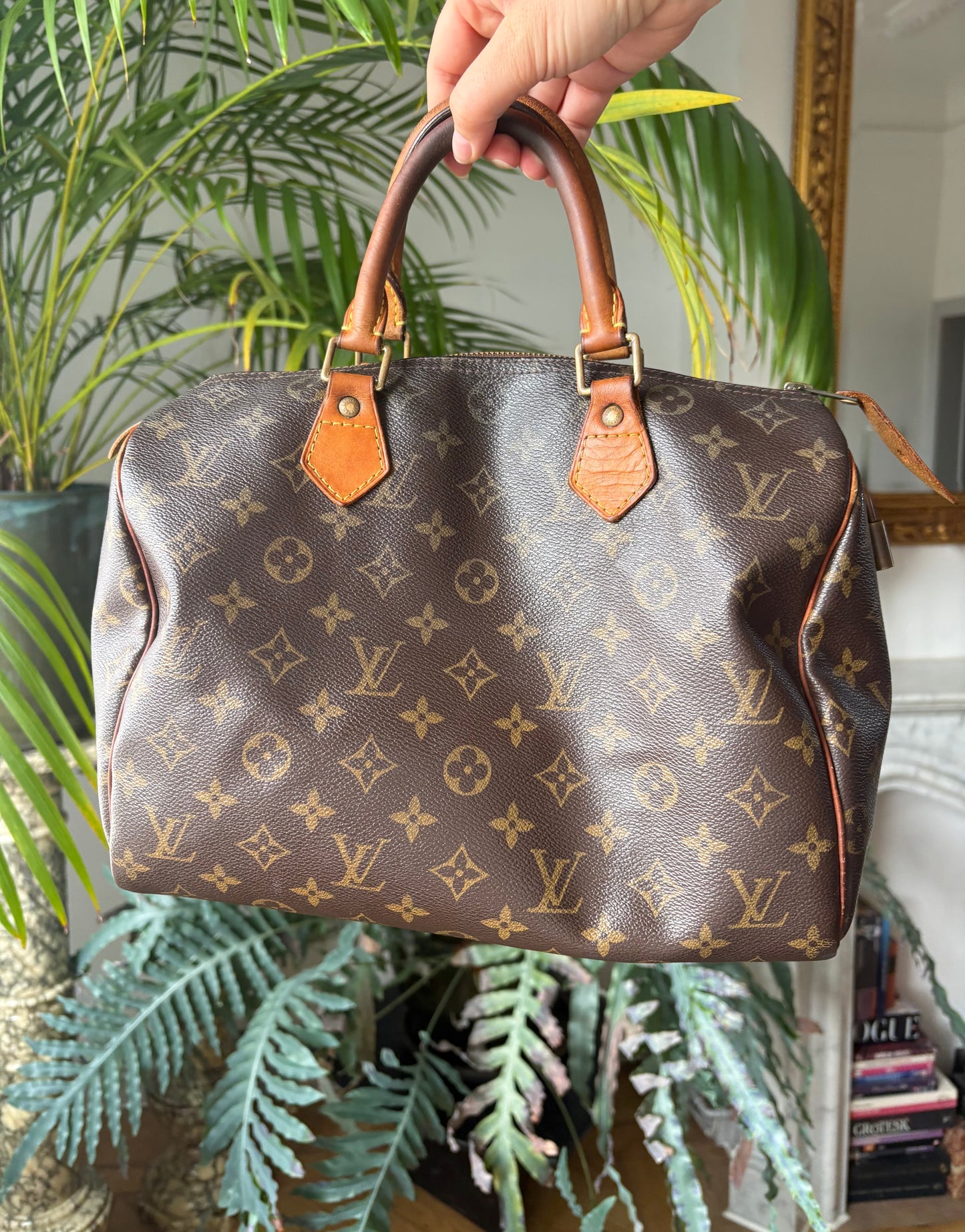 Louis Vuitton Speedy 30