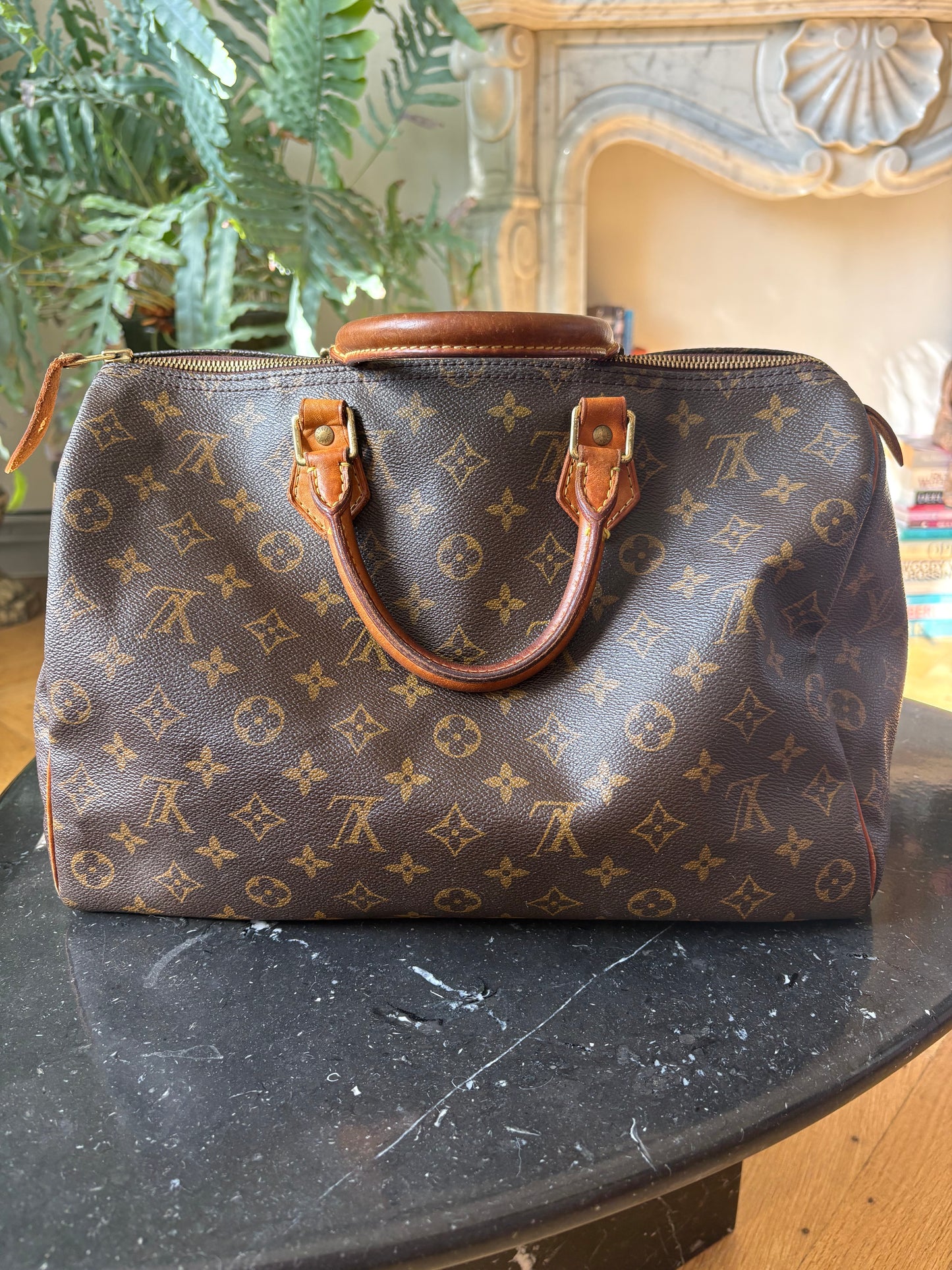Louis Vuitton Speedy 35