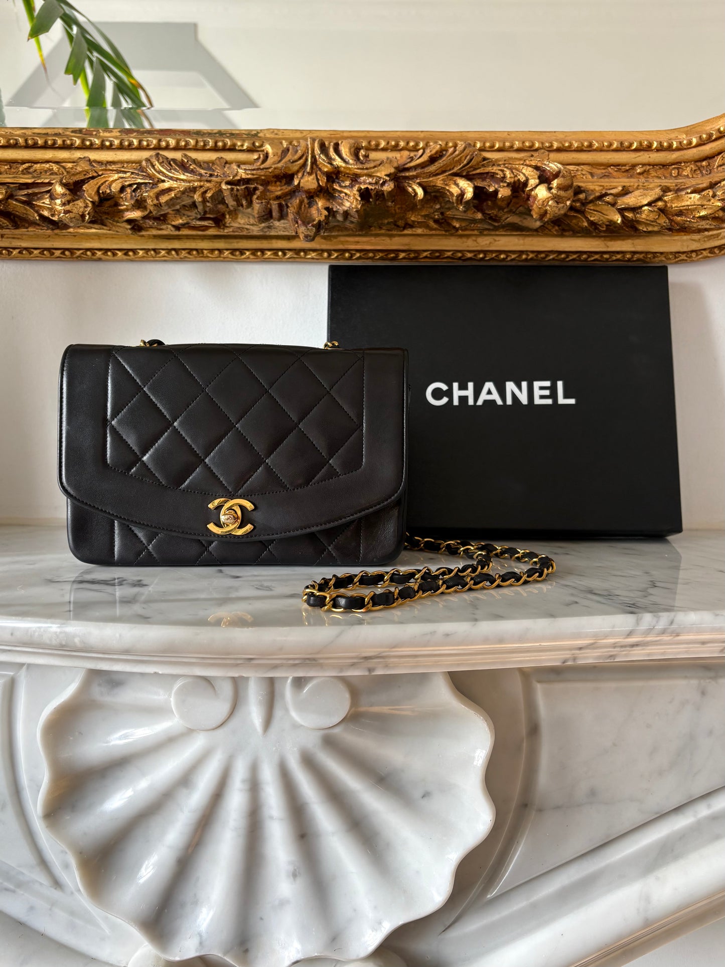 Chanel Diana