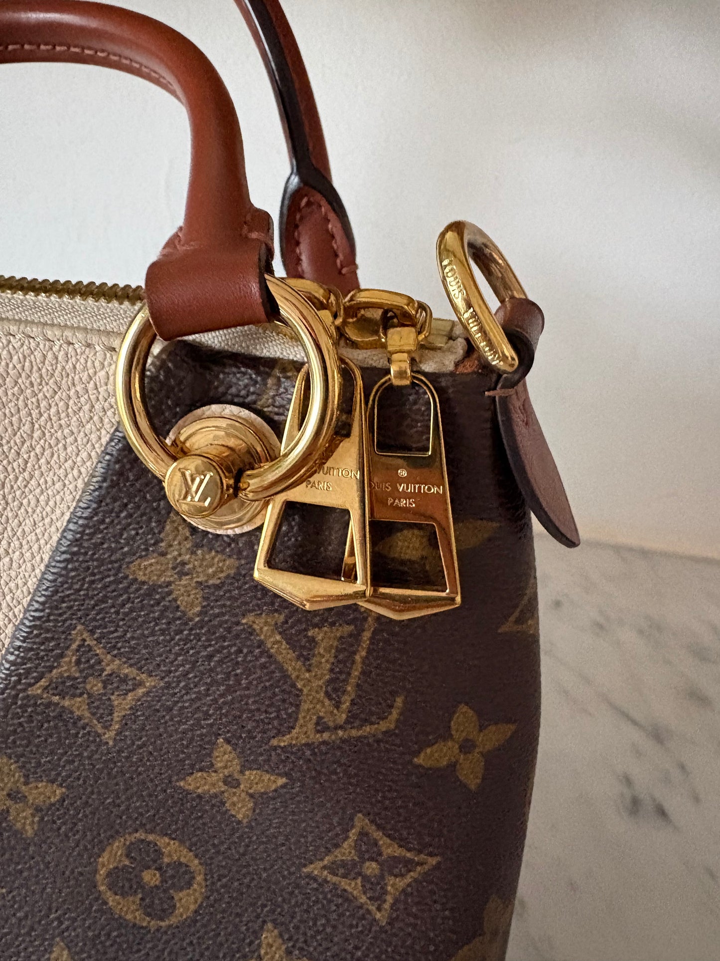 Louis Vuitton V tote