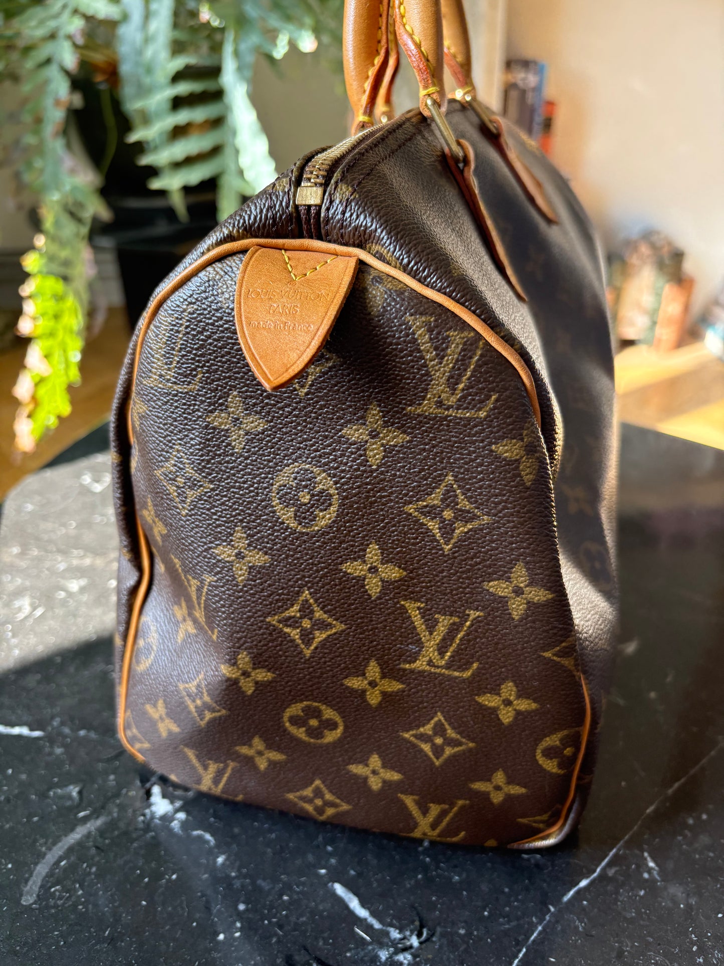 Louis Vuitton Speedy 30