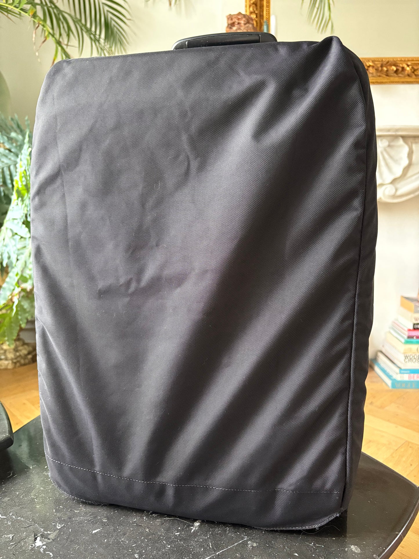 Louis Vuitton Pegase 55