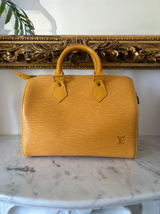 Louis Vuitton Speedy Epi