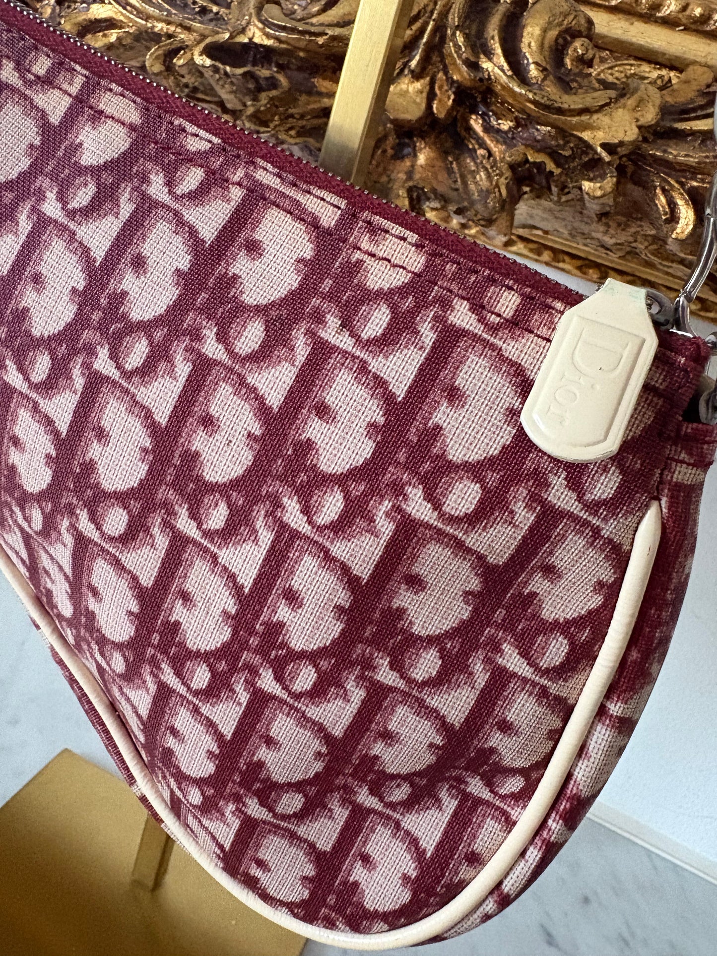 Dior Mini Saddle